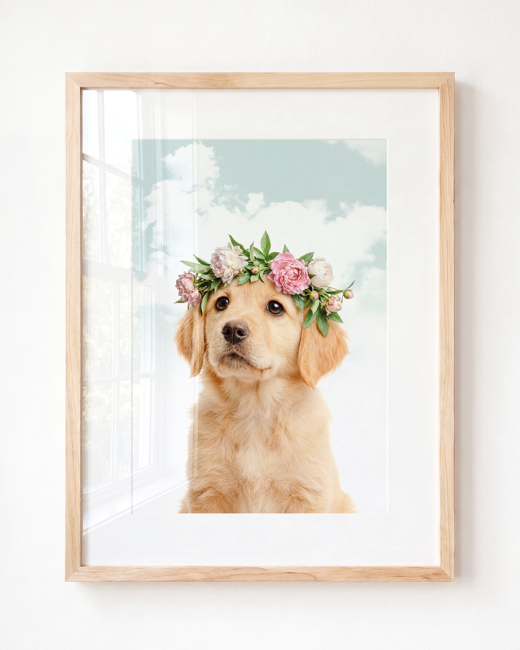 Baby Puppy Golden Retriever Portrait