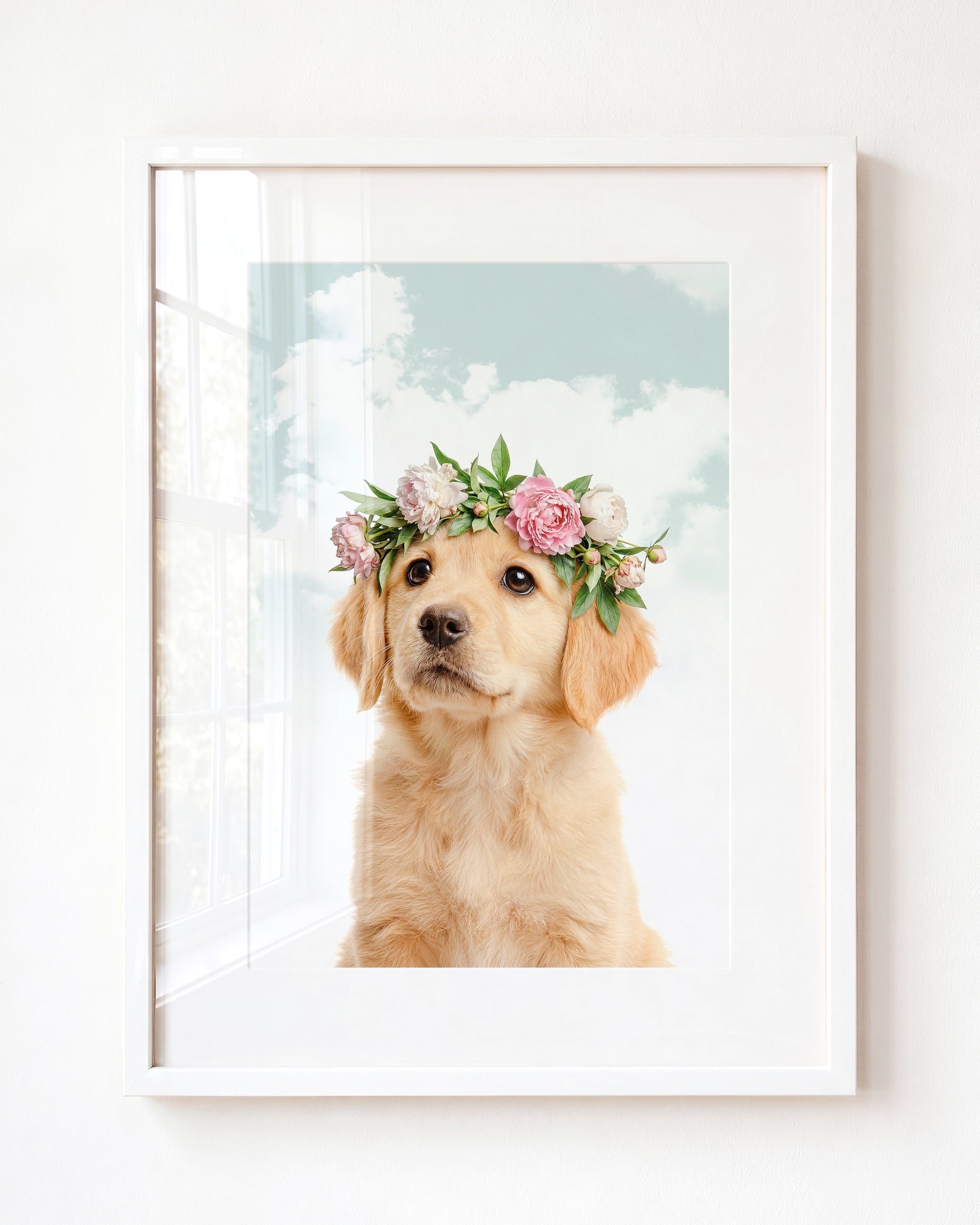 Baby Puppy Golden Retriever Portrait