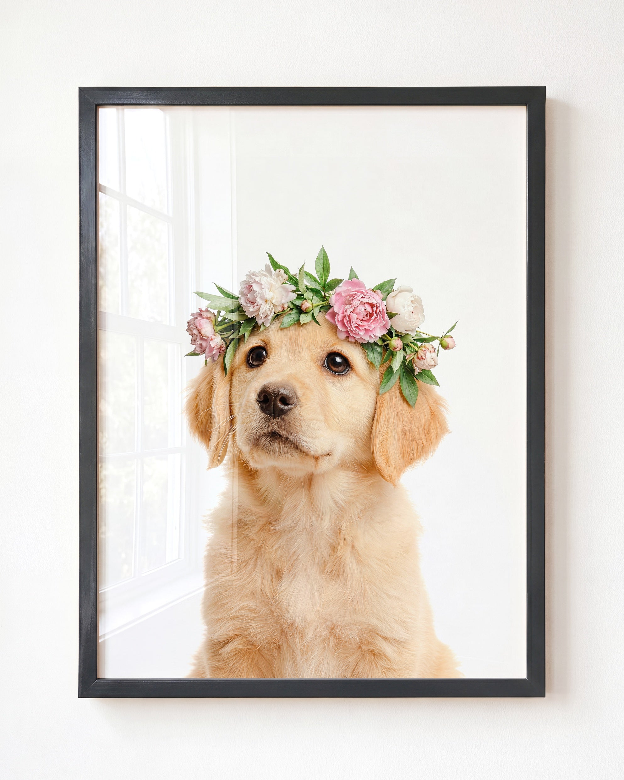 Baby Puppy Golden Retriever Portrait