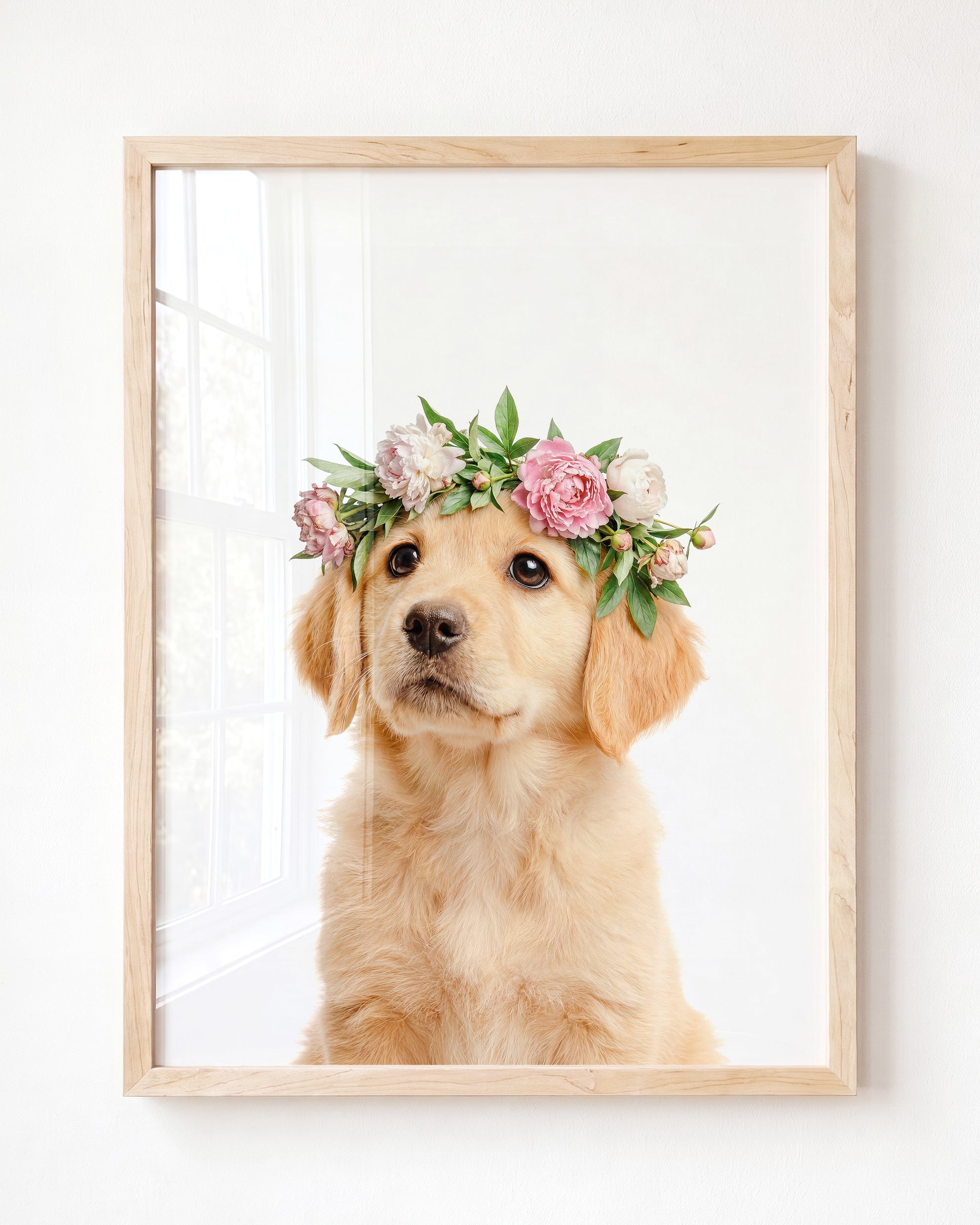 Baby Puppy Golden Retriever Portrait