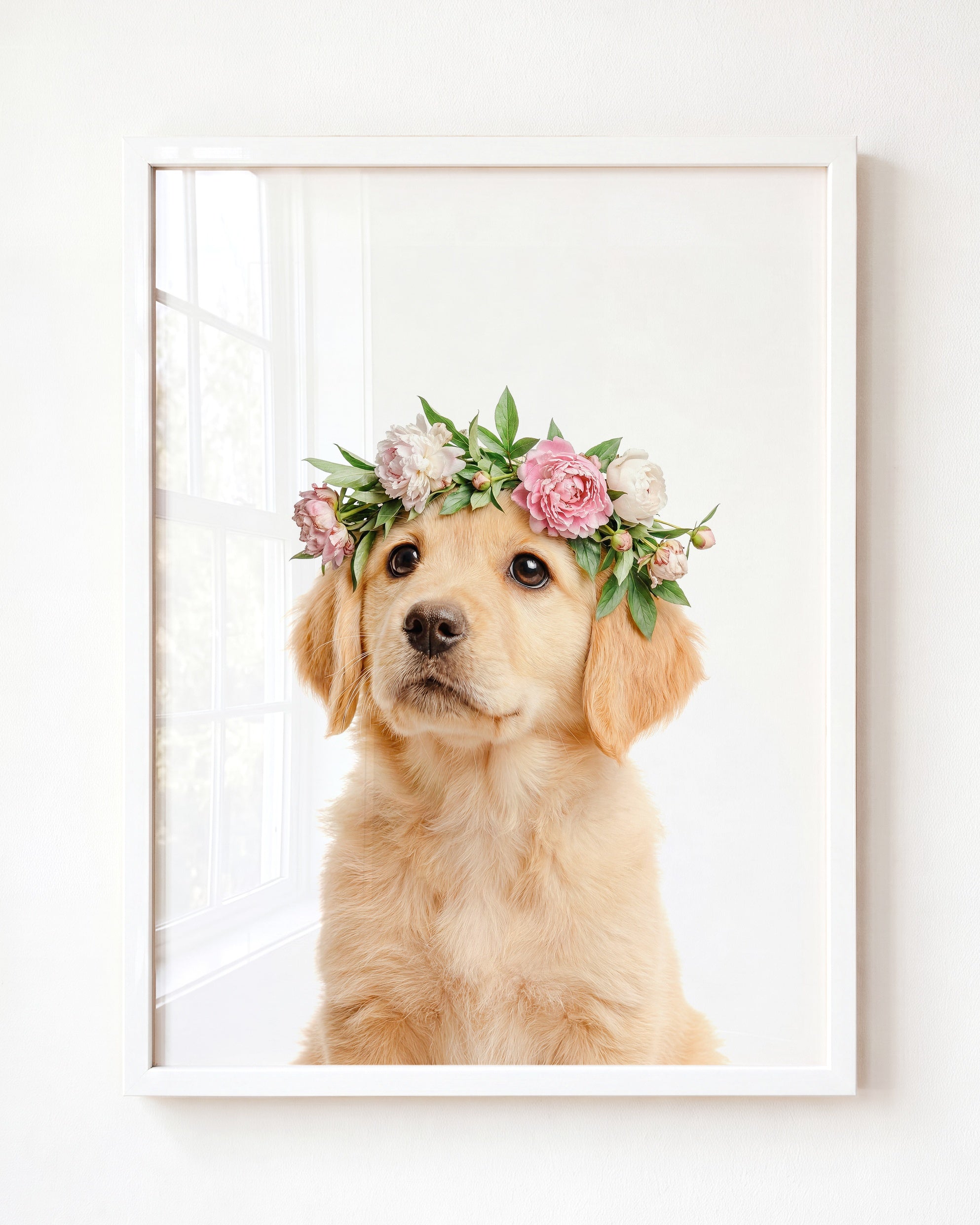 Baby Puppy Golden Retriever Portrait