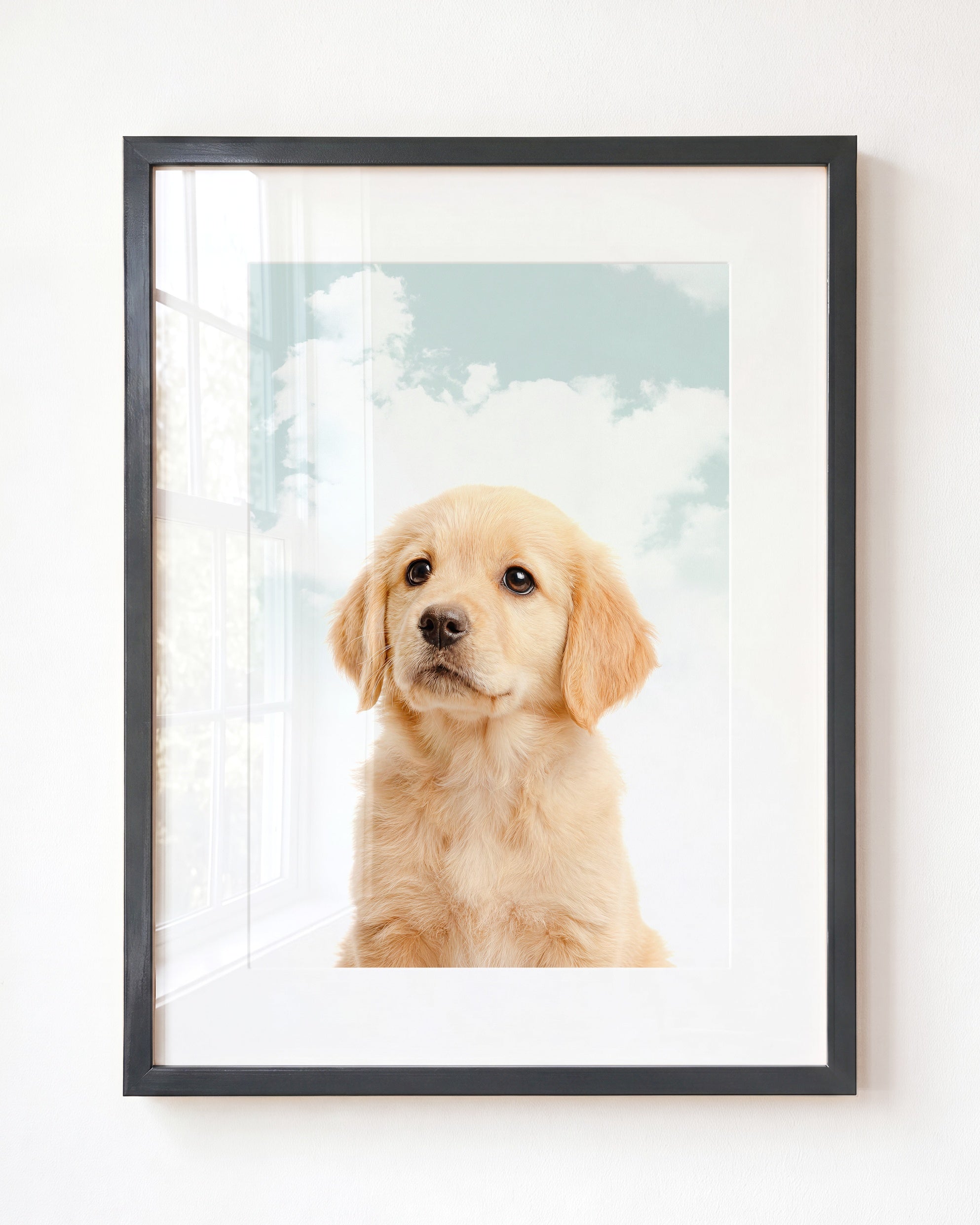 Baby Puppy Golden Retriever Portrait