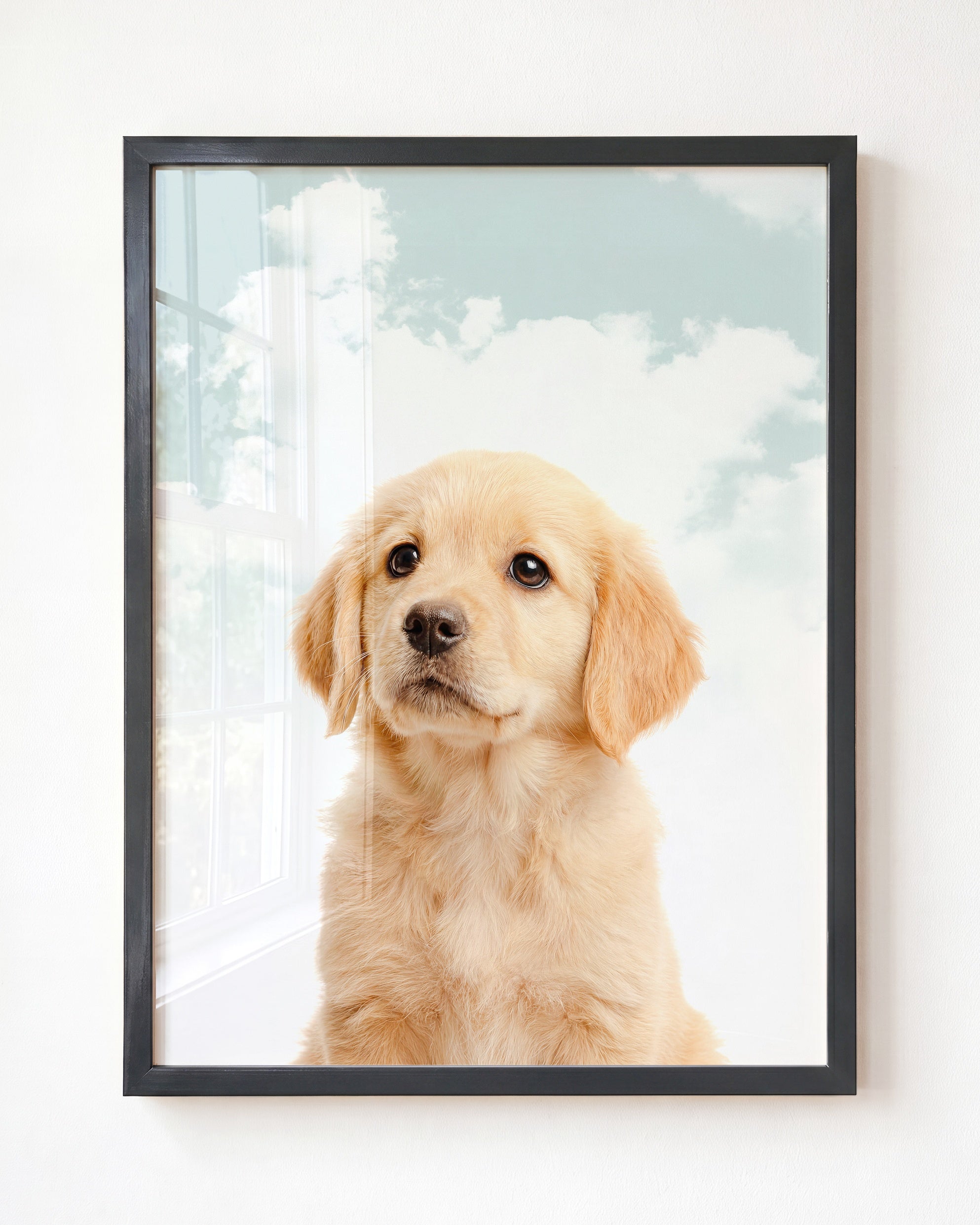 Baby Puppy Golden Retriever Portrait