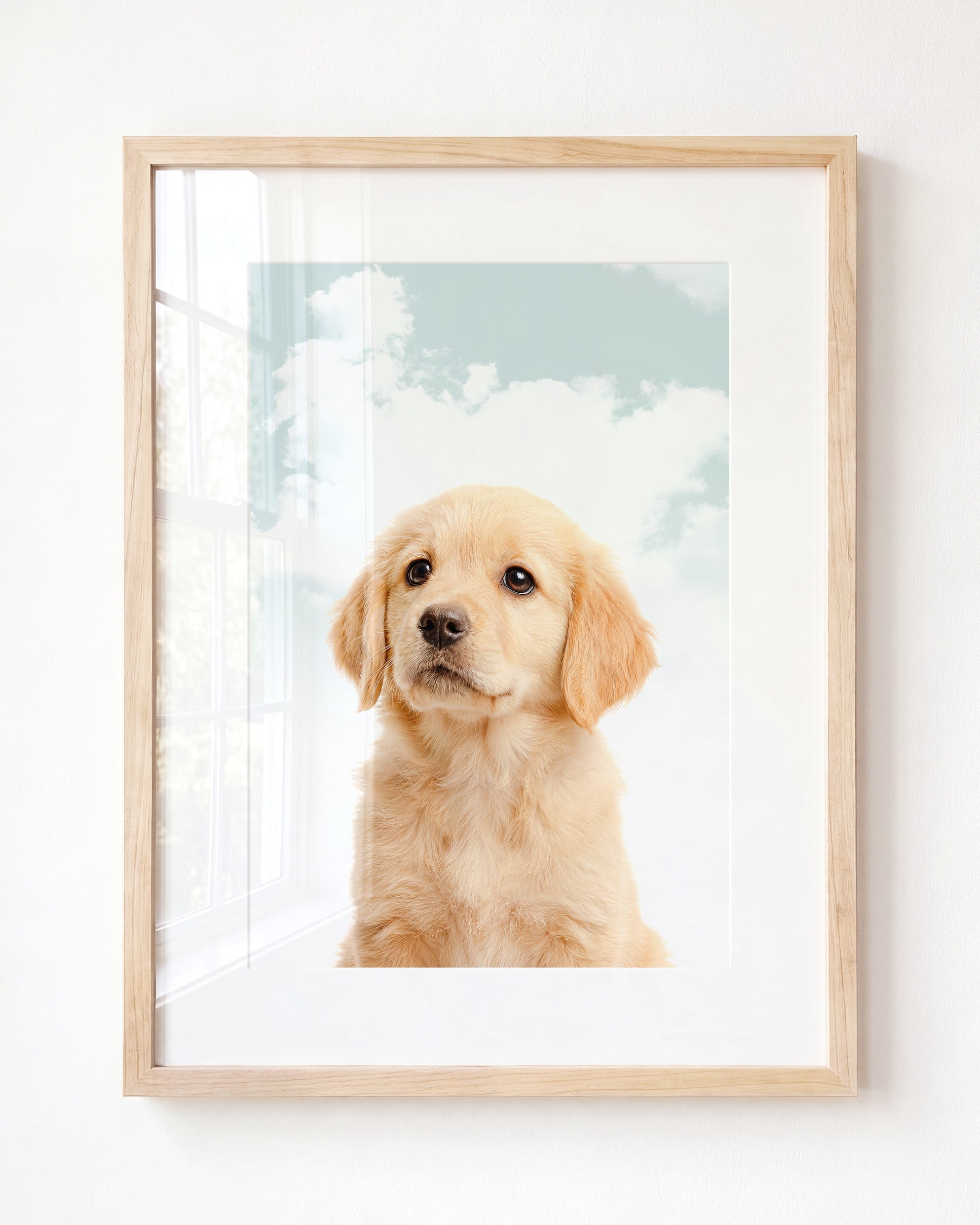 Baby Puppy Golden Retriever Portrait
