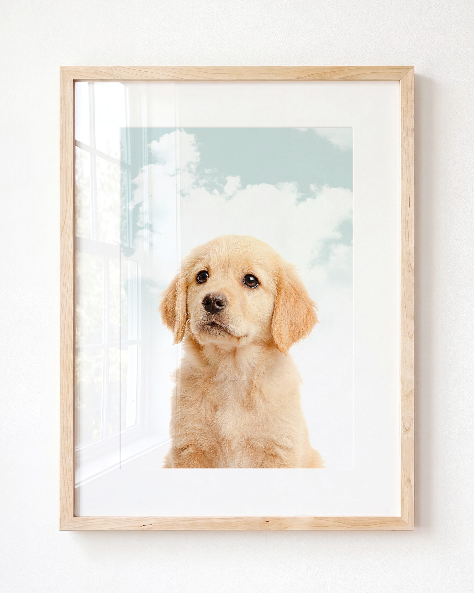 Baby Puppy Golden Retriever Portrait