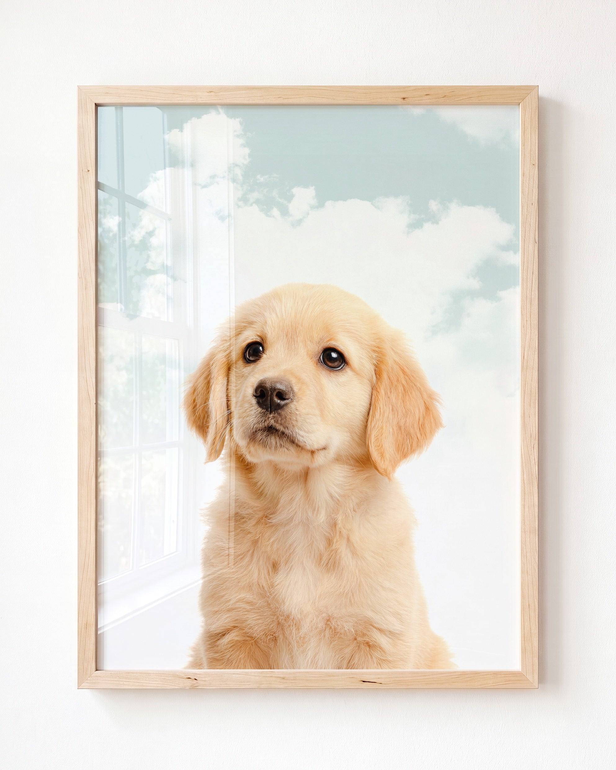 Baby Puppy Golden Retriever Portrait