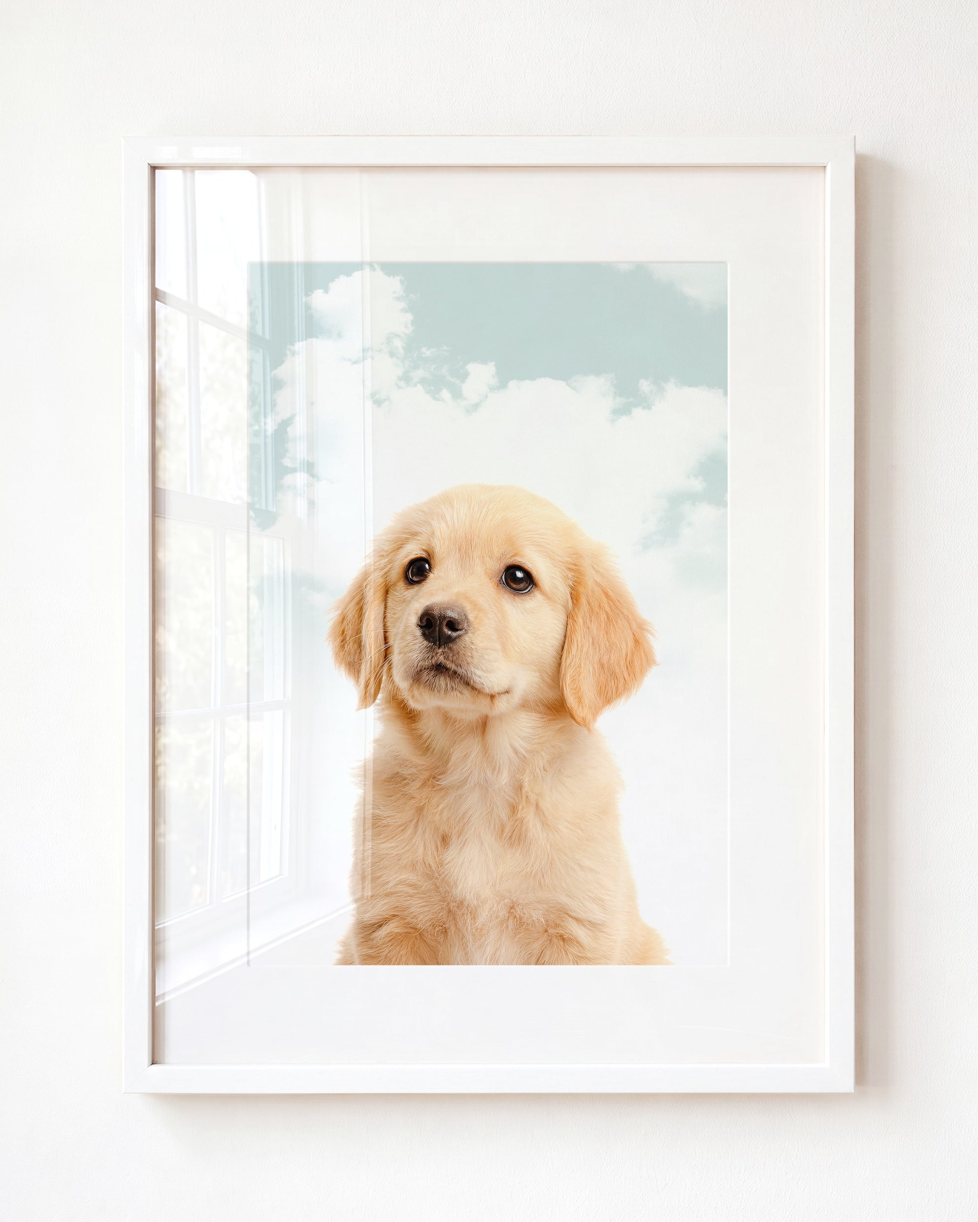 Baby Puppy Golden Retriever Portrait