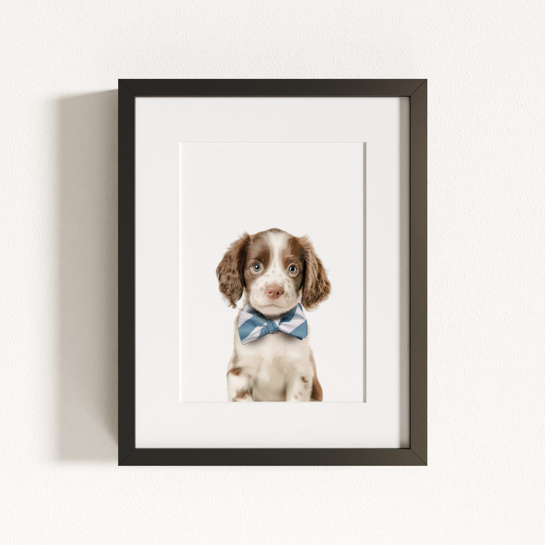 Baby Puppy Springer Spaniel Portrait