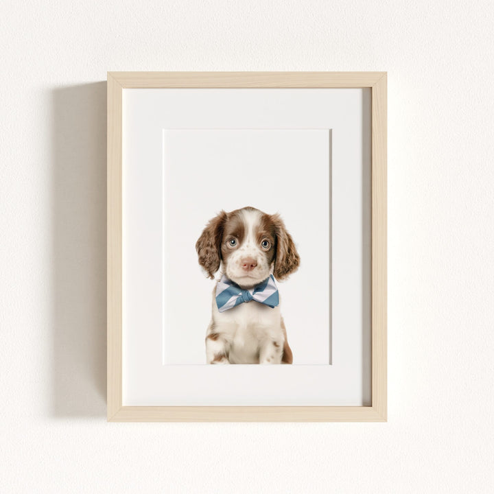 Baby Puppy Springer Spaniel Portrait