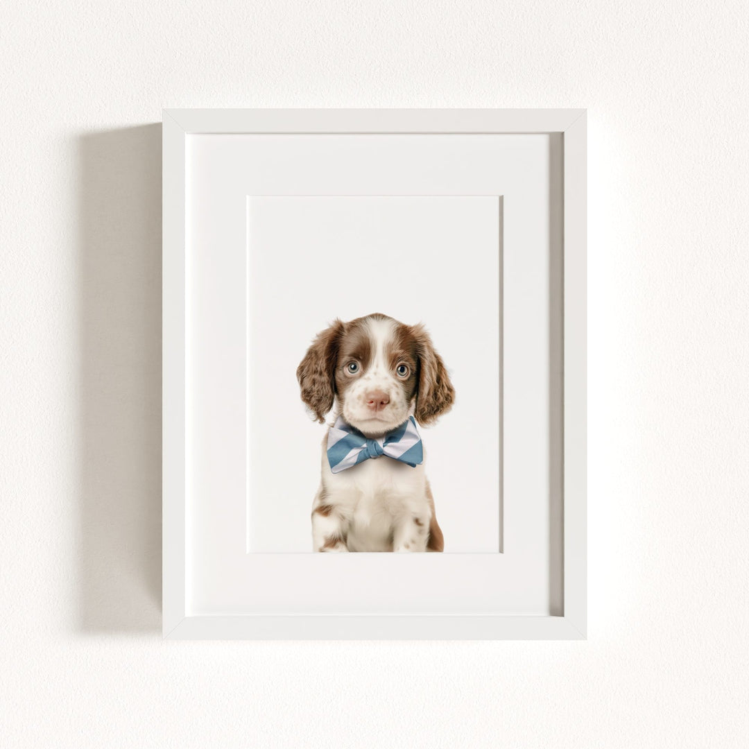 Baby Puppy Springer Spaniel Portrait