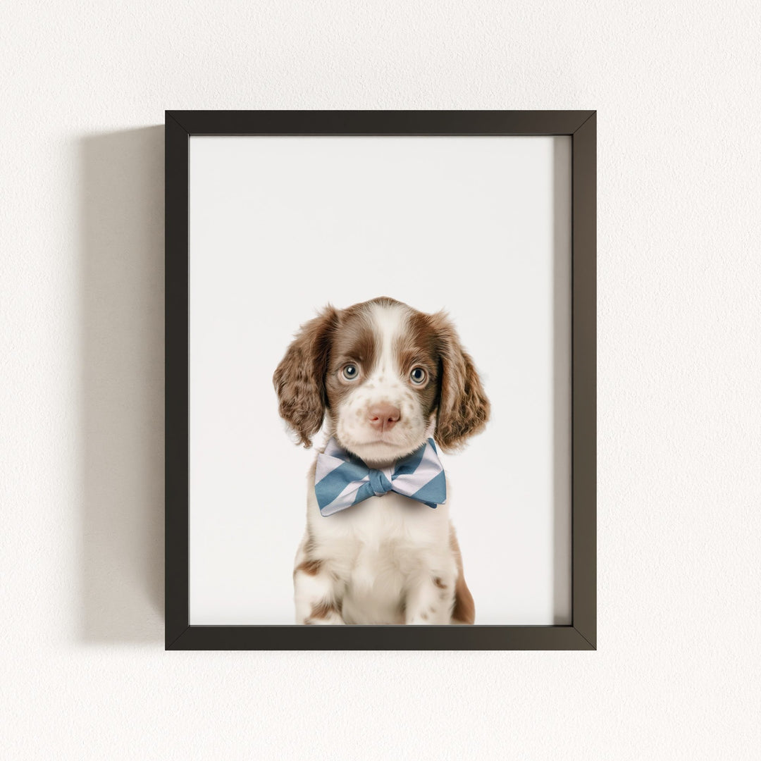 Baby Puppy Springer Spaniel Portrait