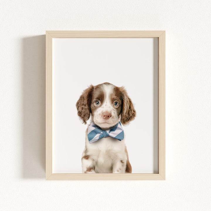 Baby Puppy Springer Spaniel Portrait