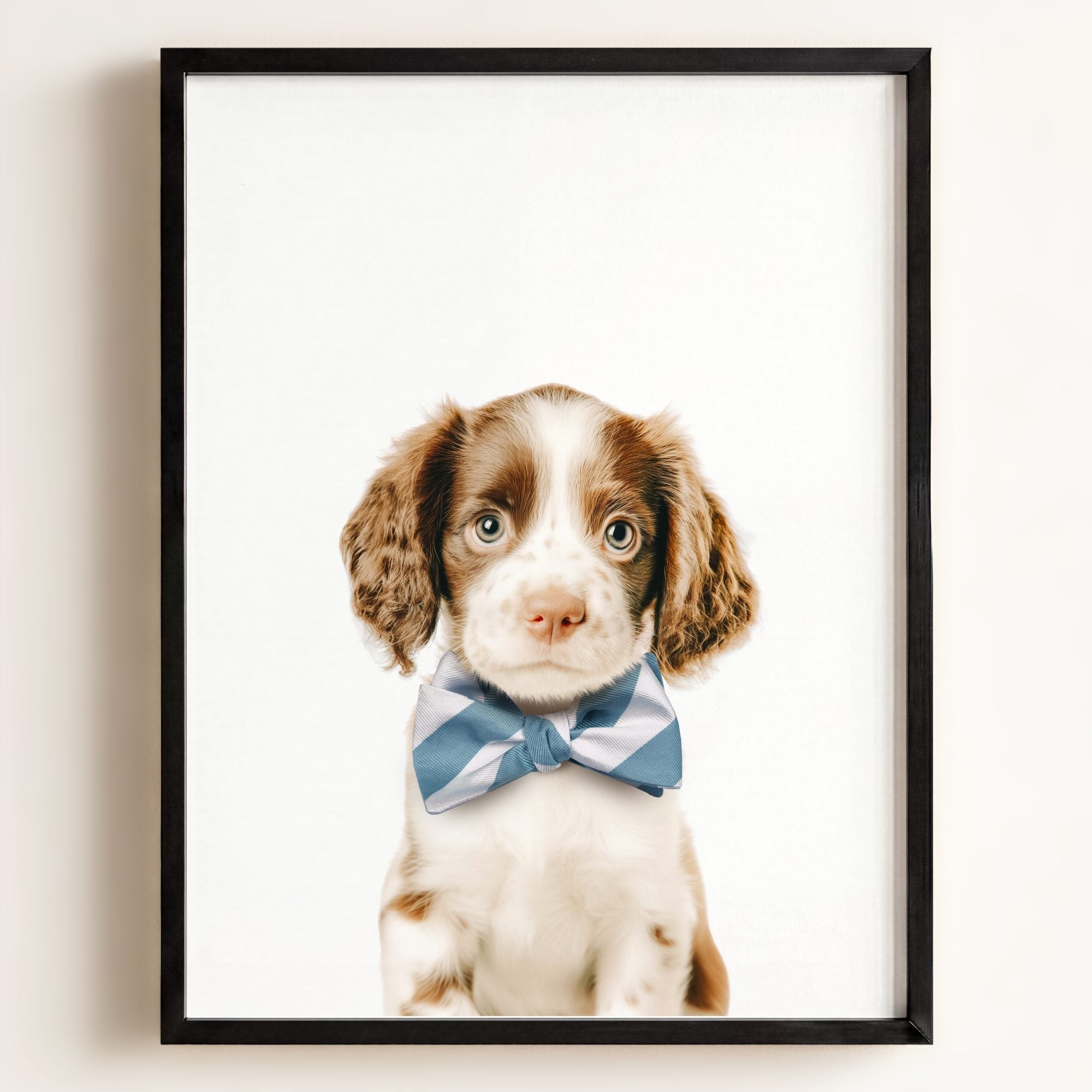 Baby Puppy Springer Spaniel Portrait