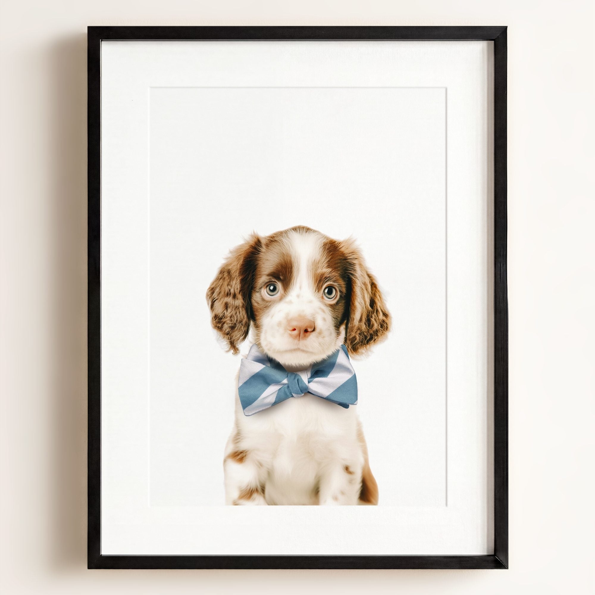 Baby Puppy Springer Spaniel Portrait
