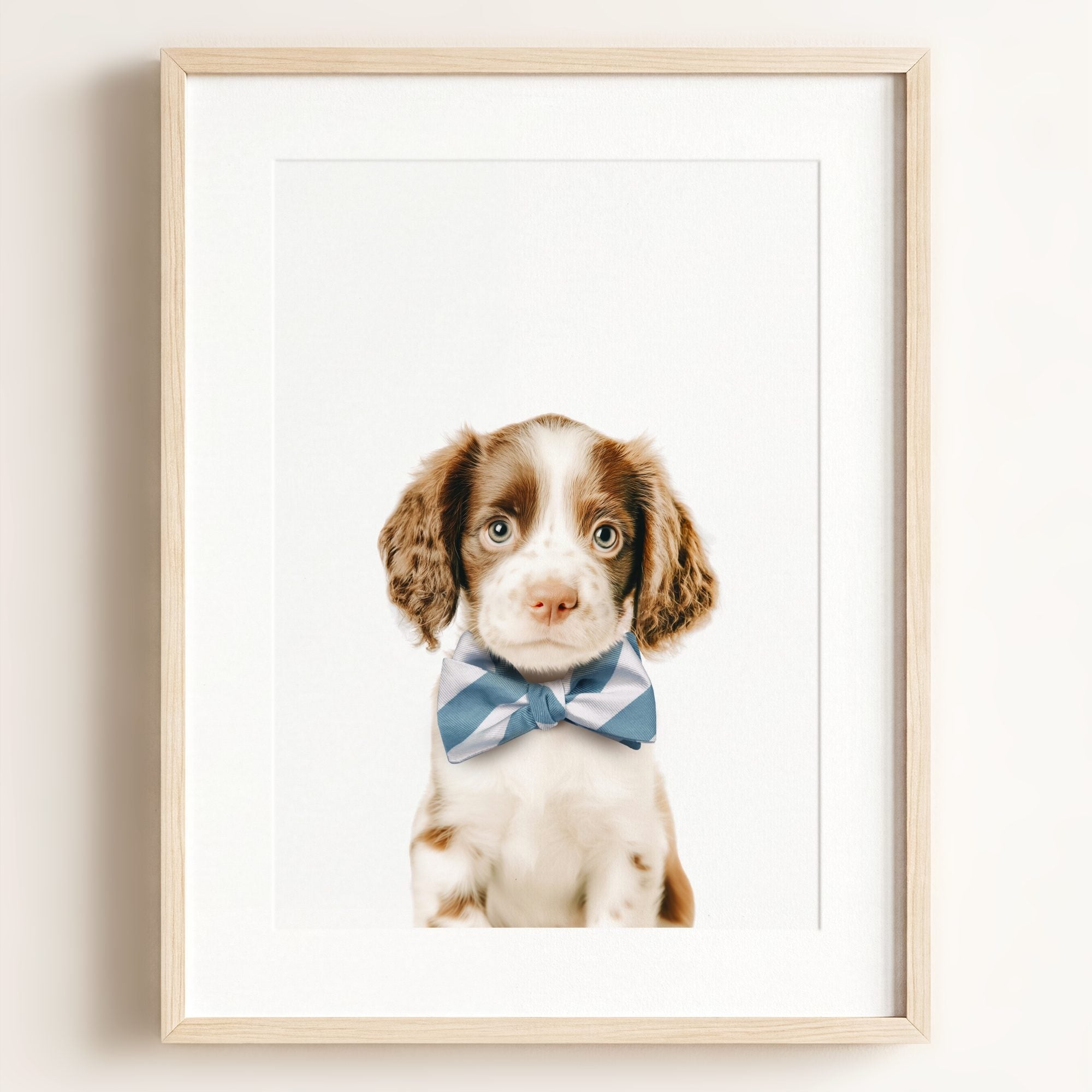 Baby Puppy Springer Spaniel Portrait