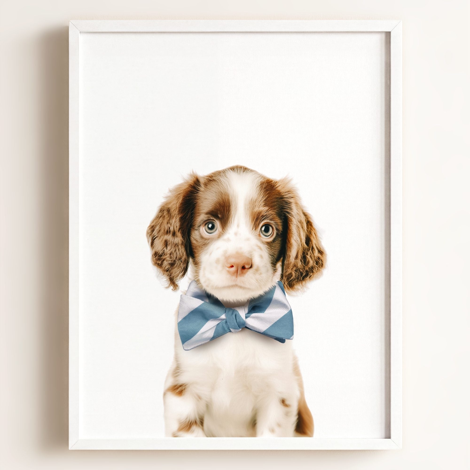Baby Puppy Springer Spaniel Portrait