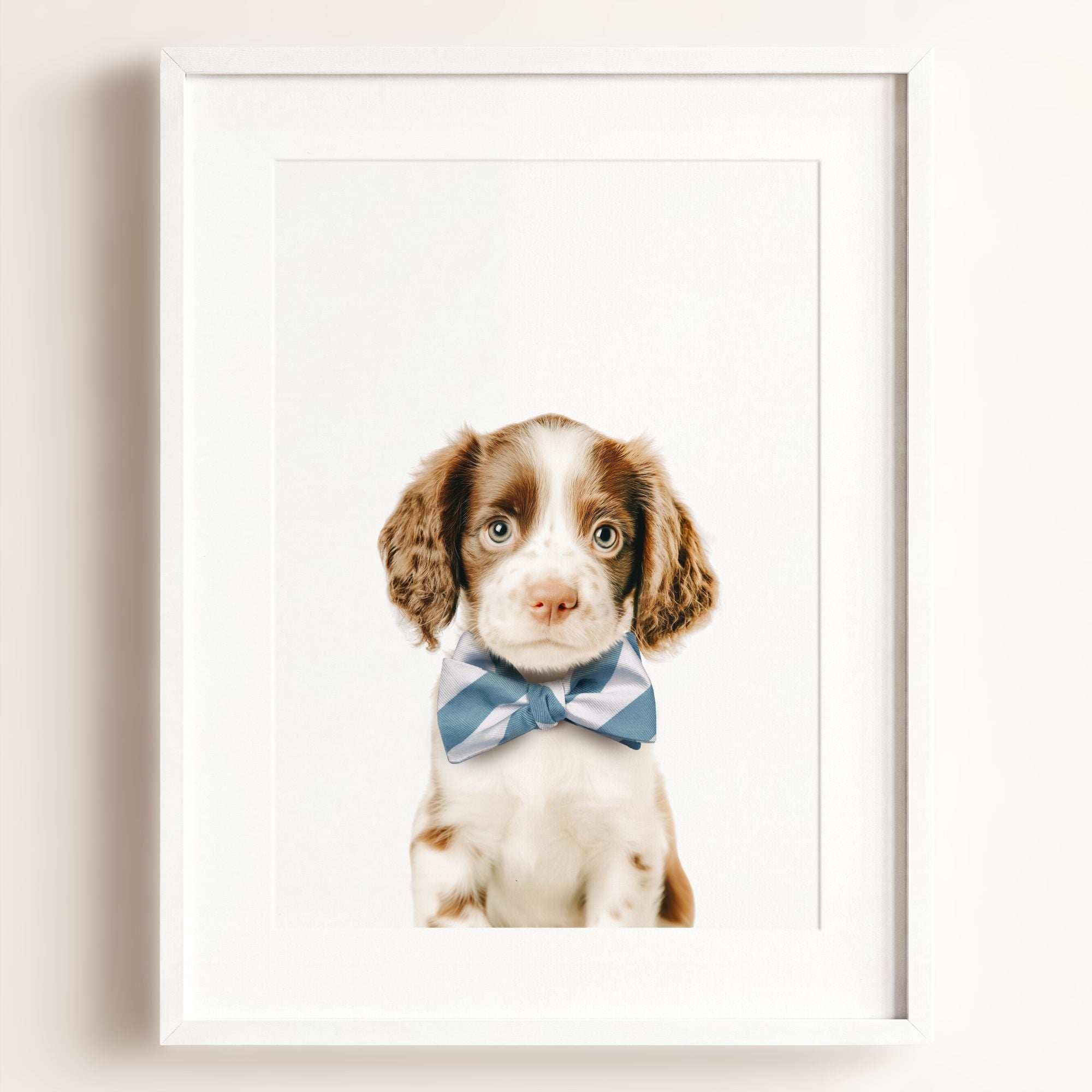 Baby Puppy Springer Spaniel Portrait