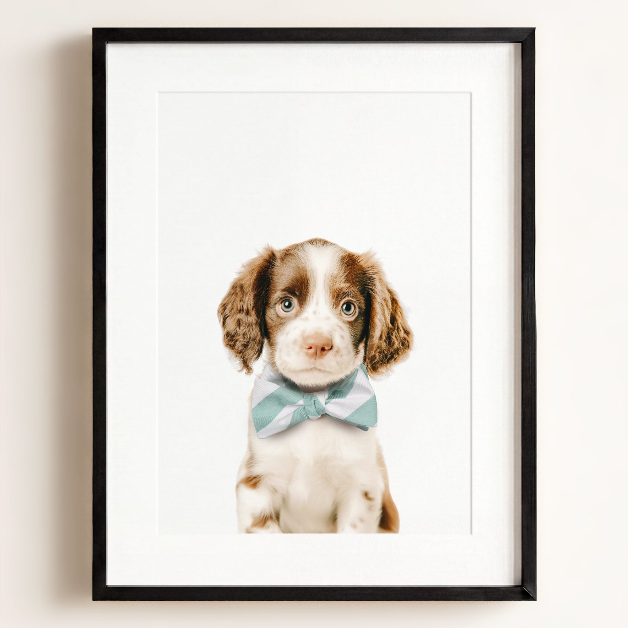 Baby Puppy Springer Spaniel Portrait