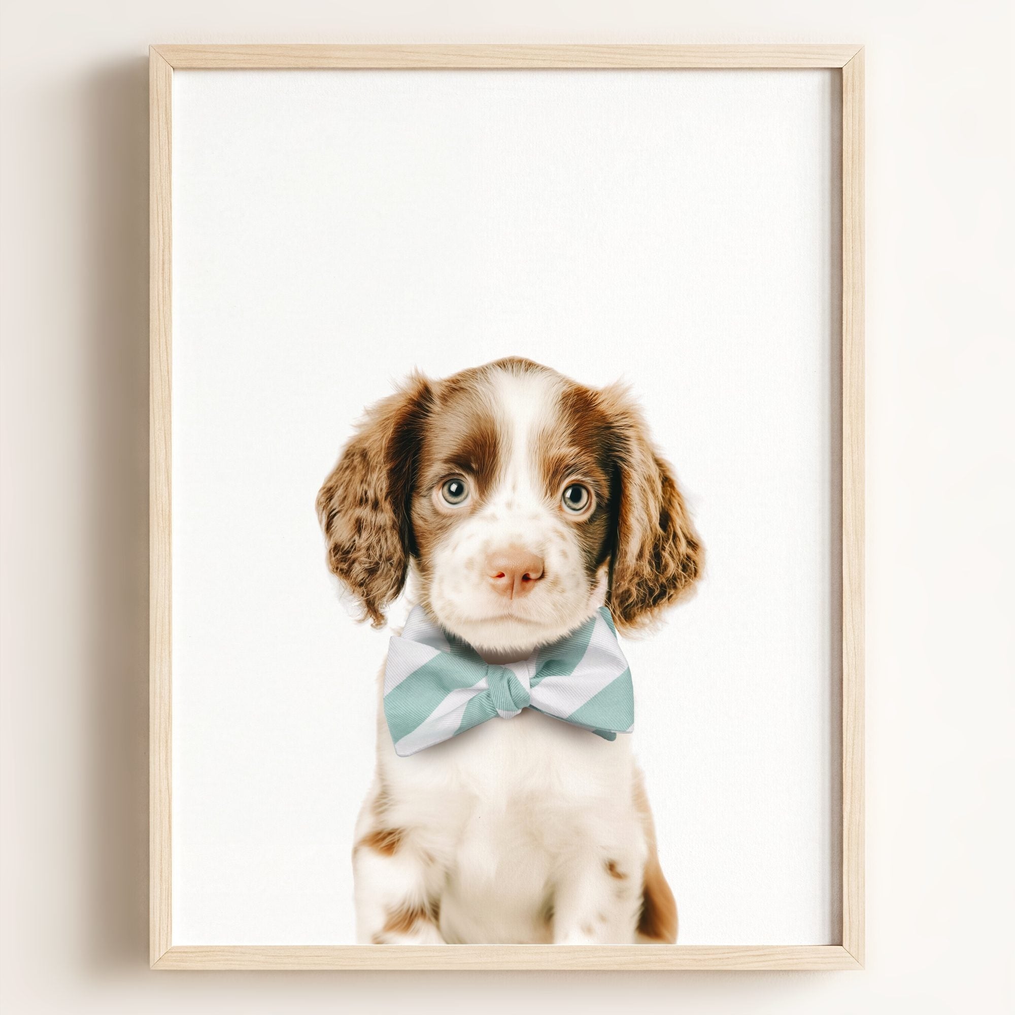 Baby Puppy Springer Spaniel Portrait
