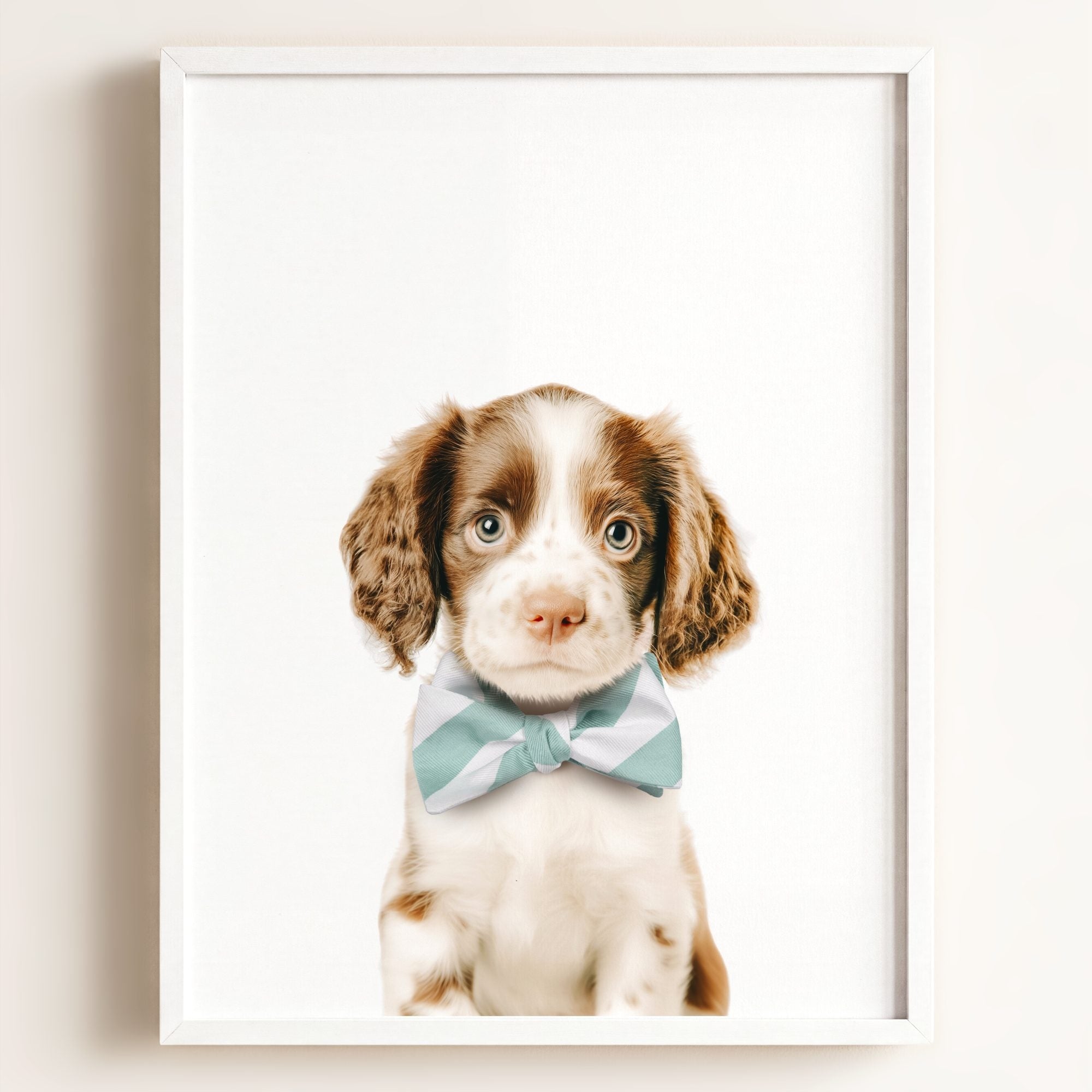 Baby Puppy Springer Spaniel Portrait