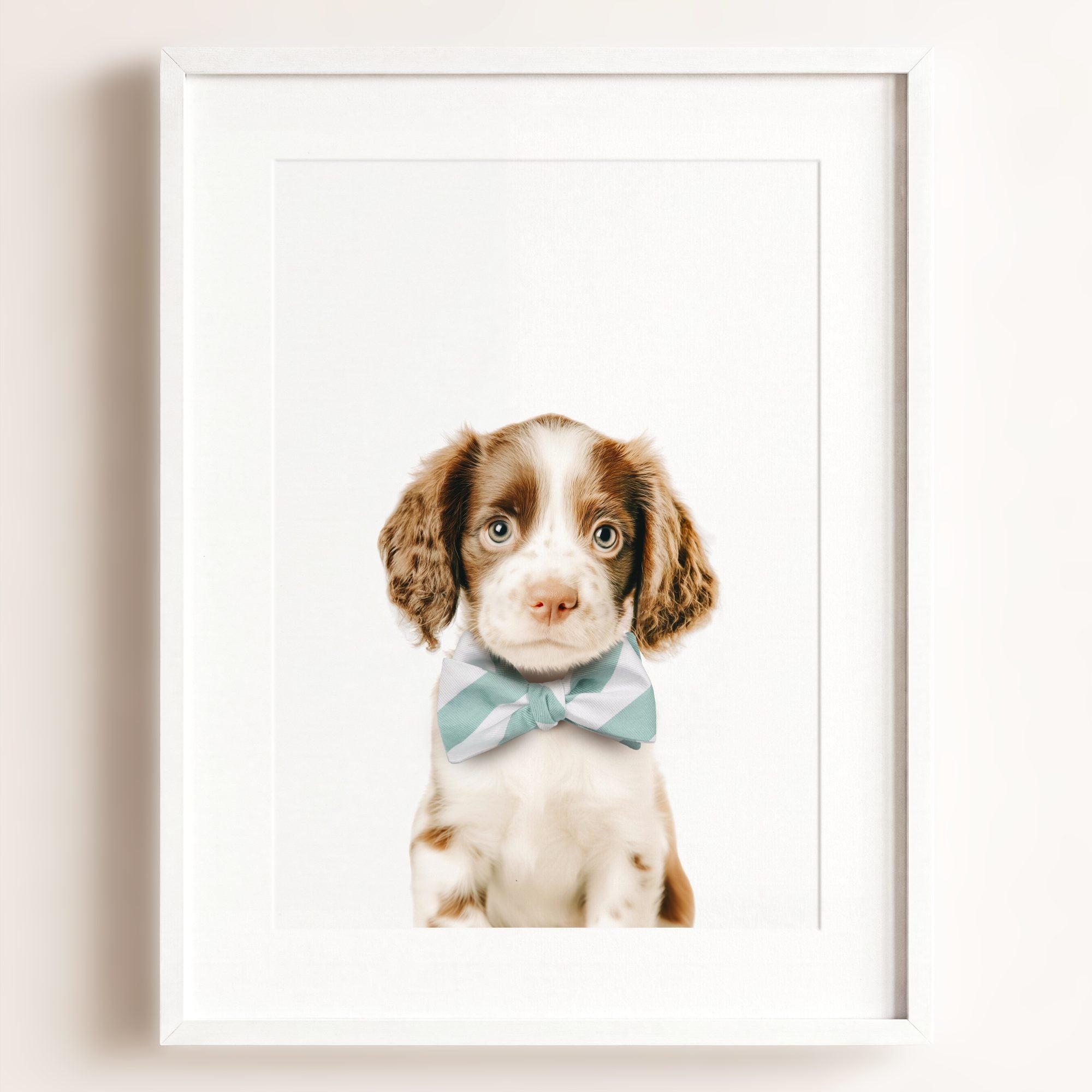 Baby Puppy Springer Spaniel Portrait