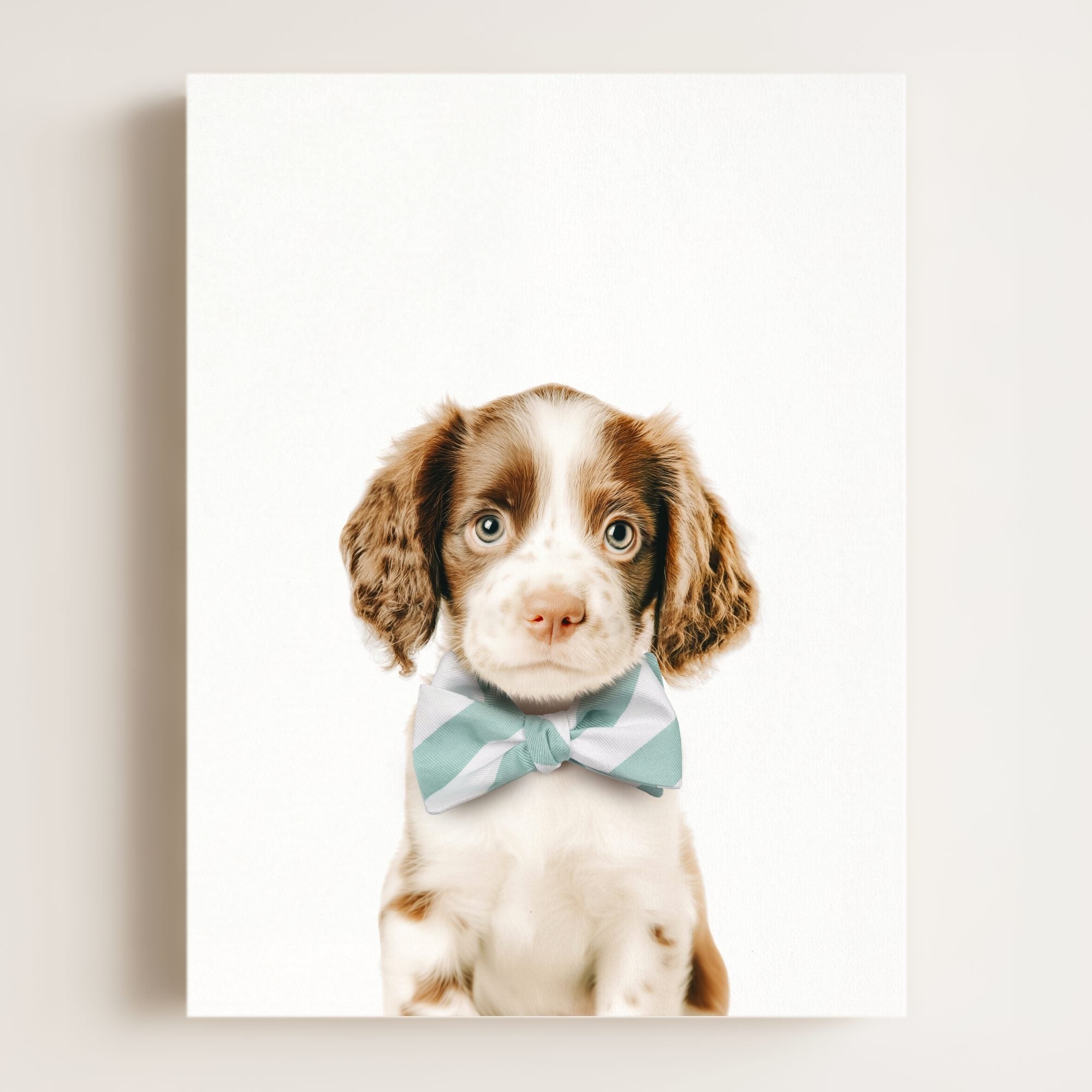 Baby Puppy Springer Spaniel Portrait