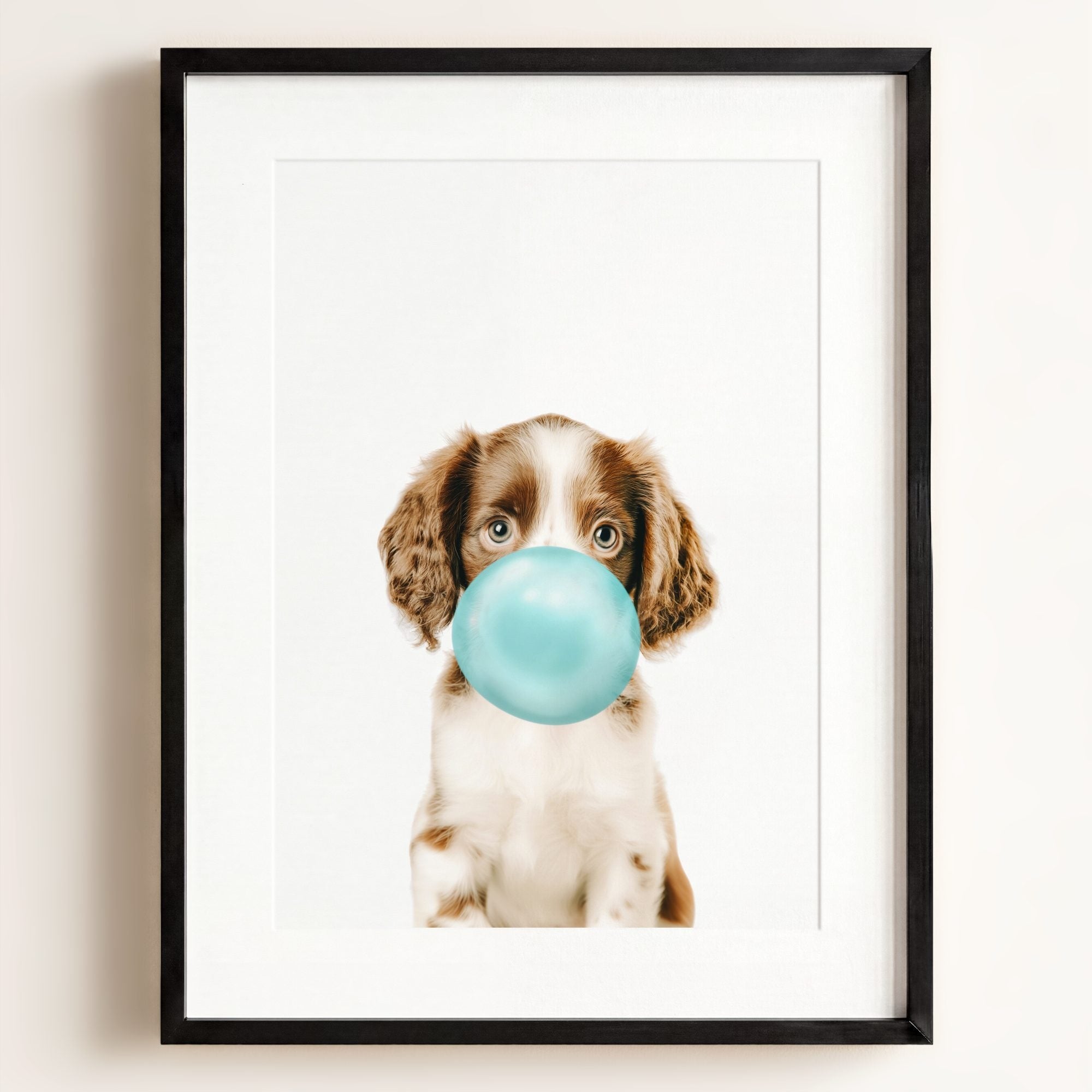 Baby Puppy Springer Spaniel Portrait