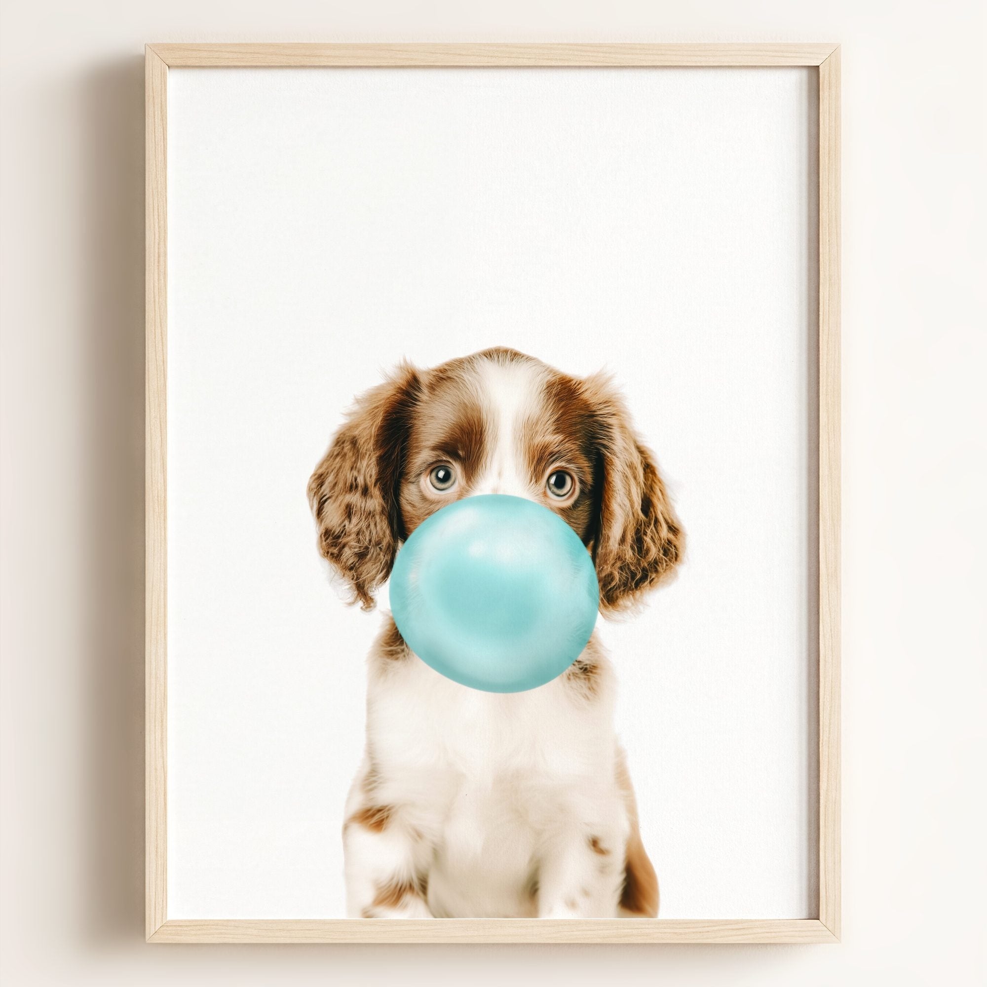 Baby Puppy Springer Spaniel Portrait