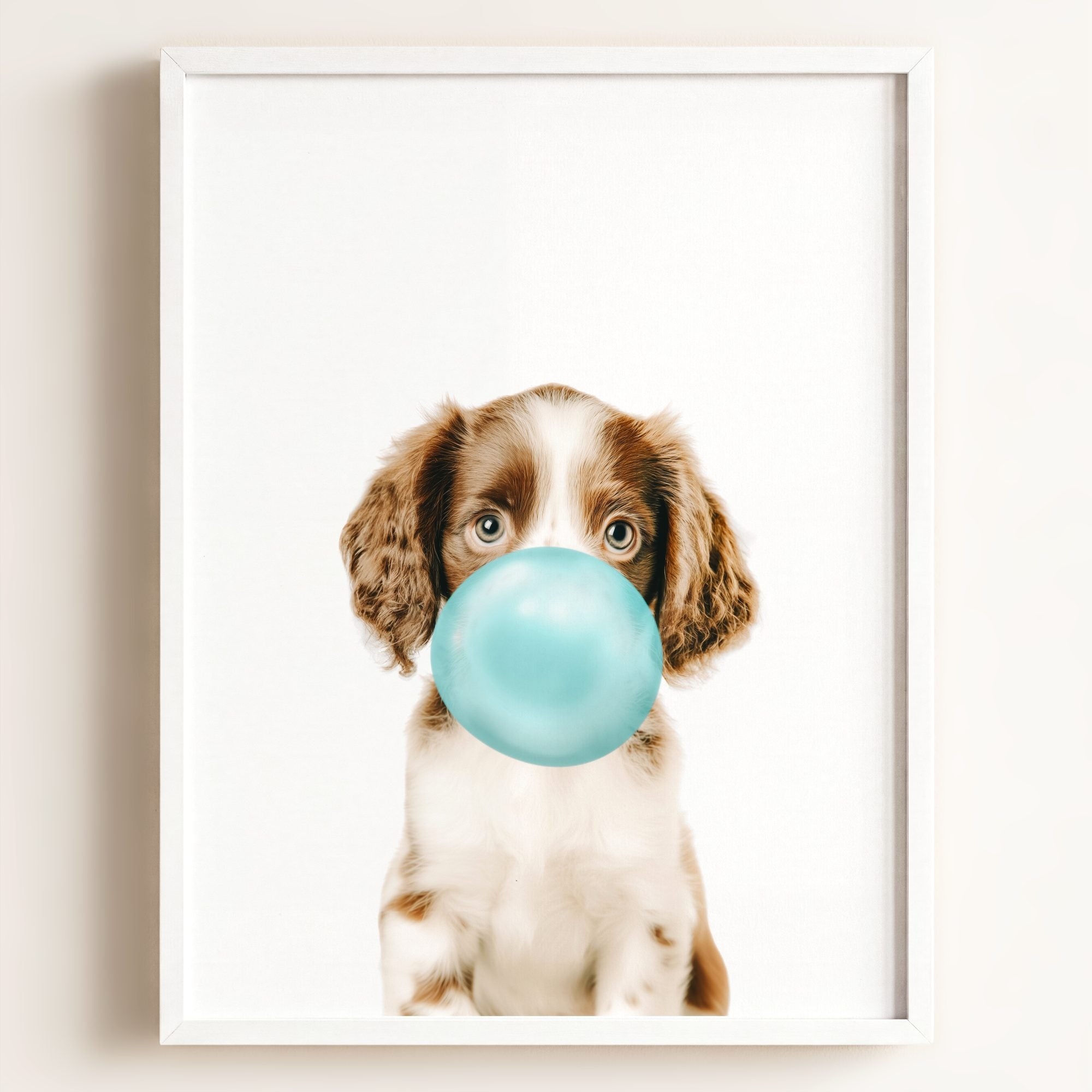 Baby Puppy Springer Spaniel Portrait