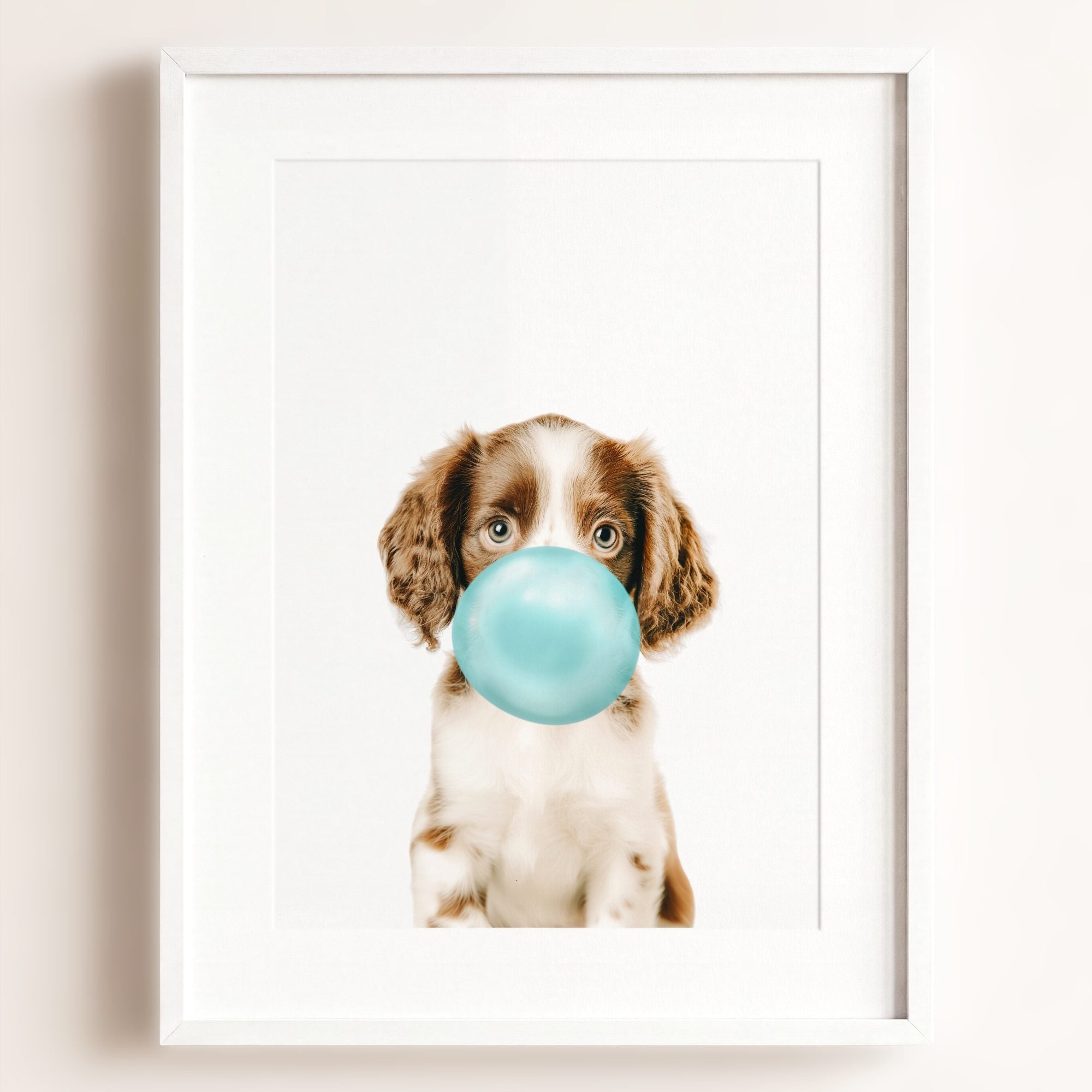 Baby Puppy Springer Spaniel Portrait