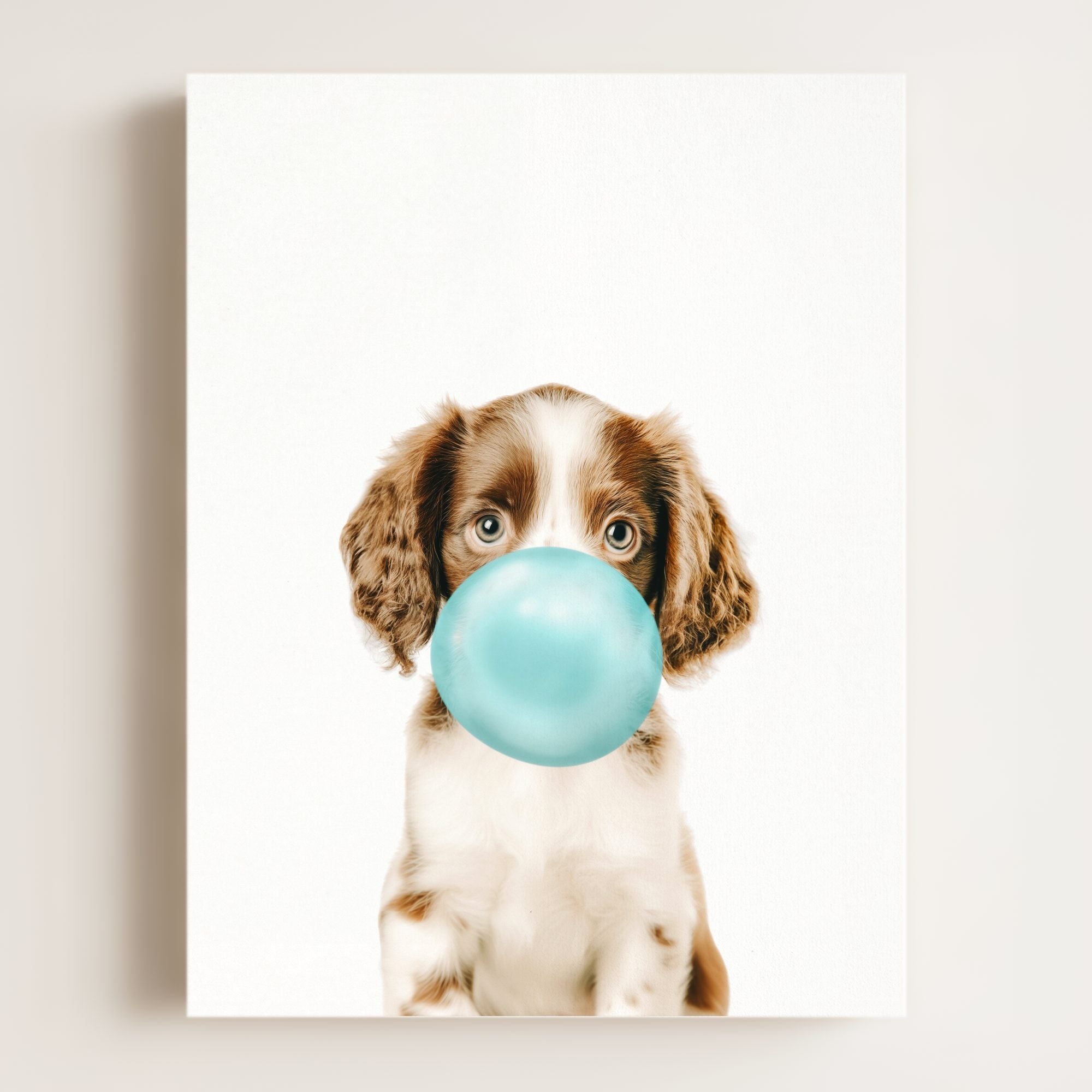 Baby Puppy Springer Spaniel Portrait