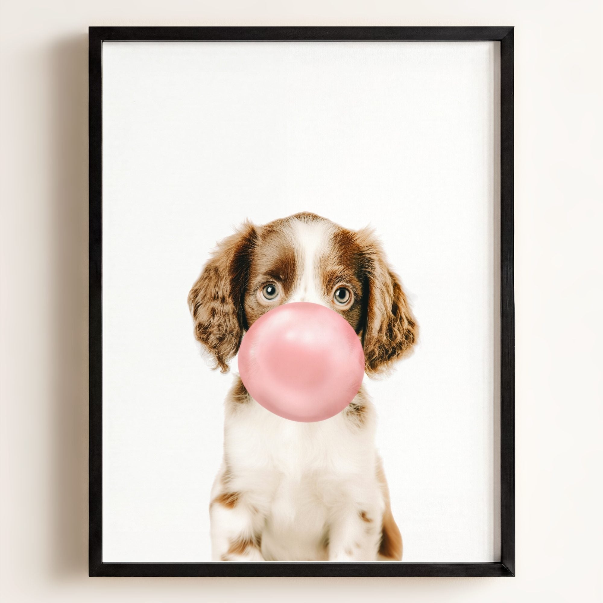 Baby Puppy Springer Spaniel Portrait