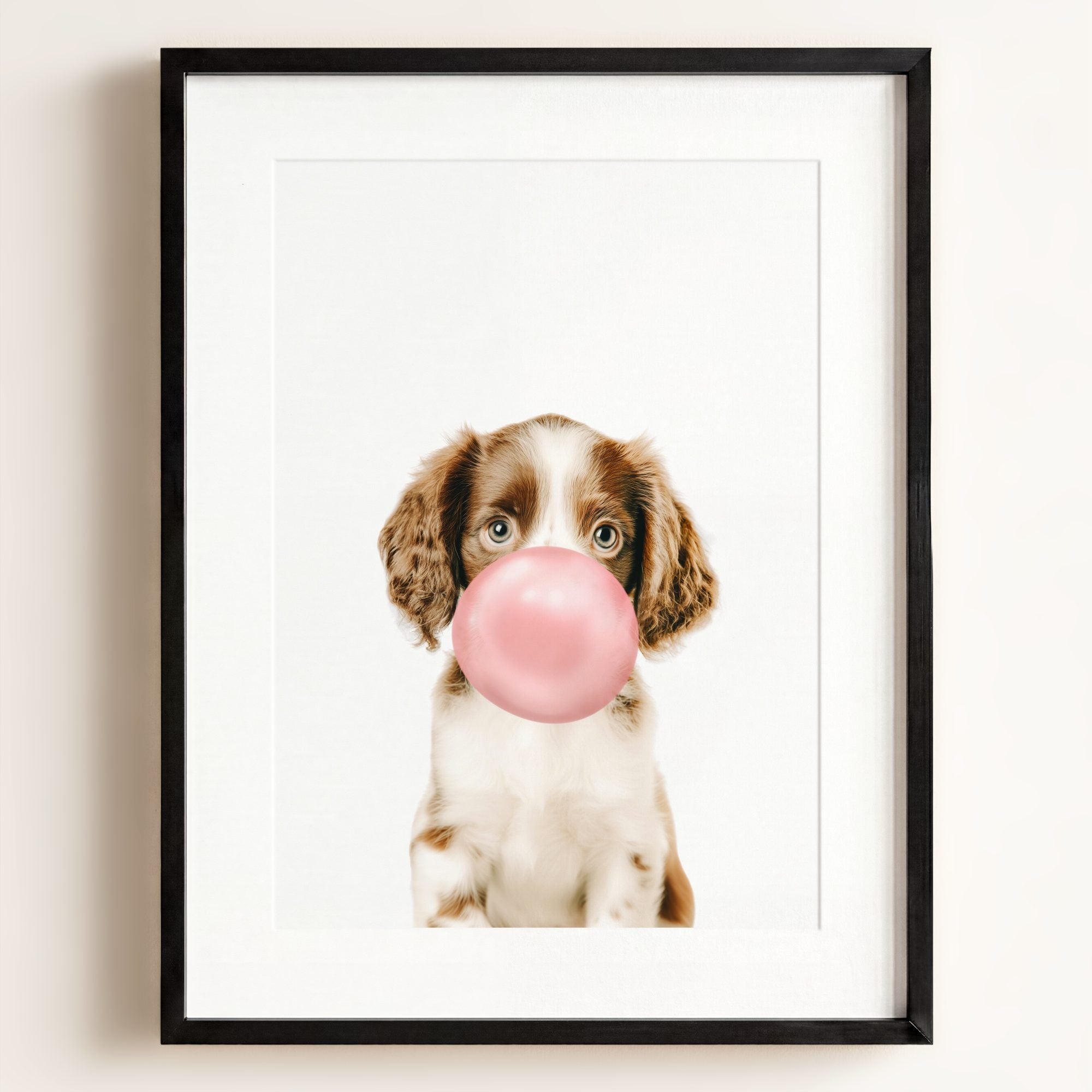 Baby Puppy Springer Spaniel Portrait