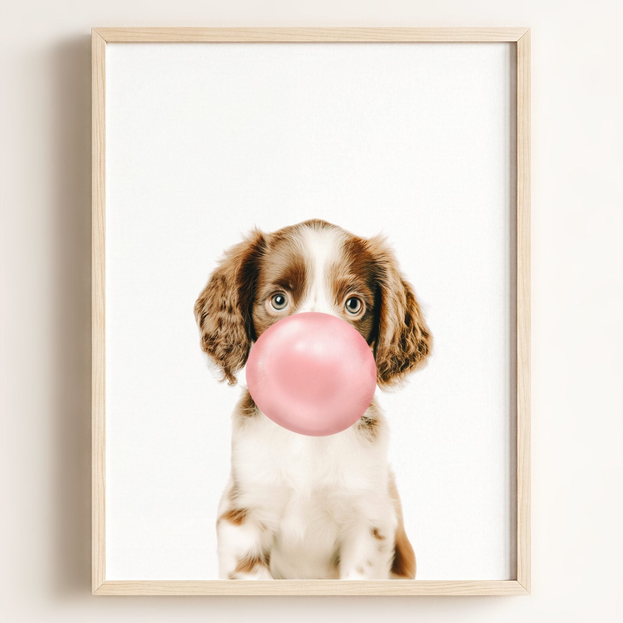 Baby Puppy Springer Spaniel Portrait