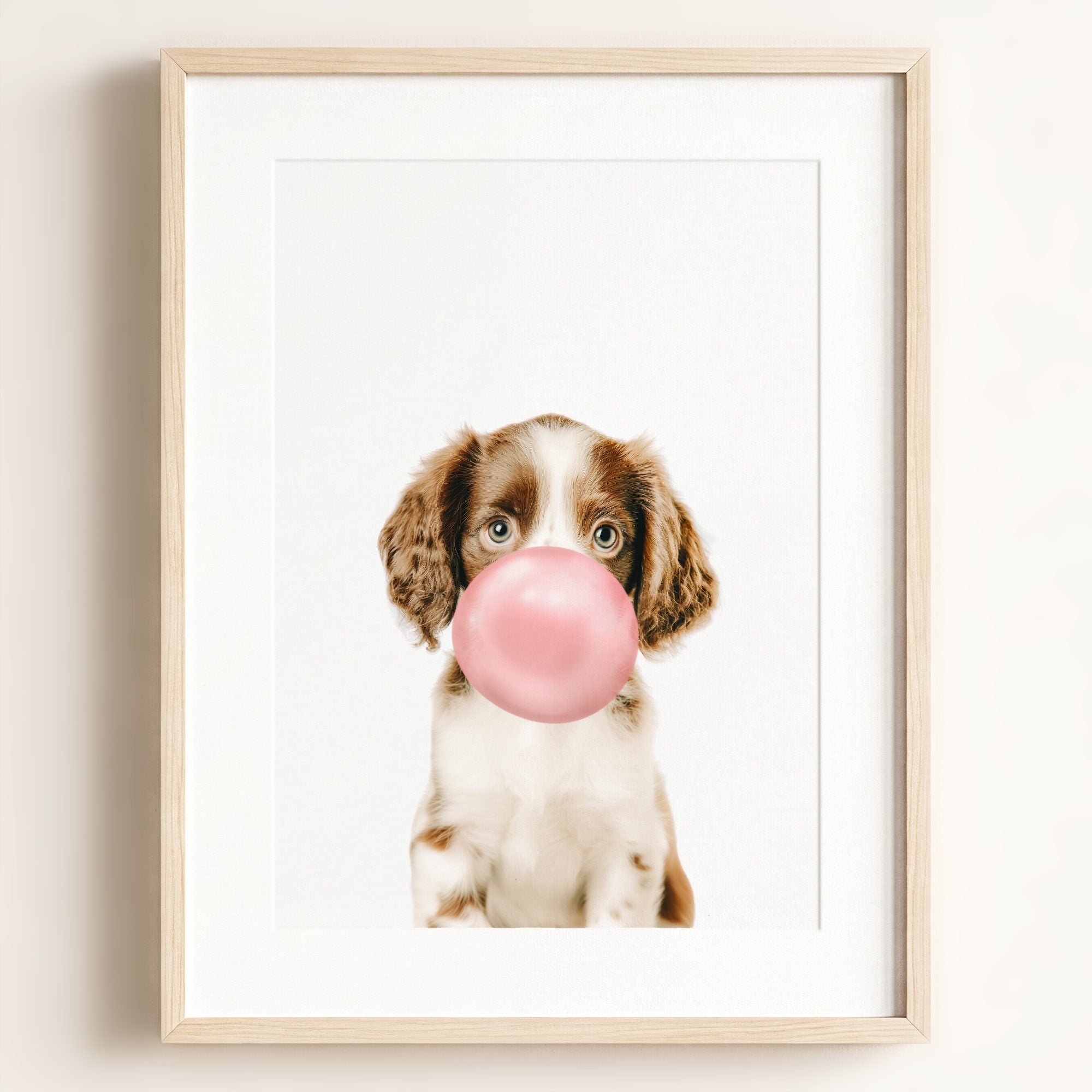 Baby Puppy Springer Spaniel Portrait