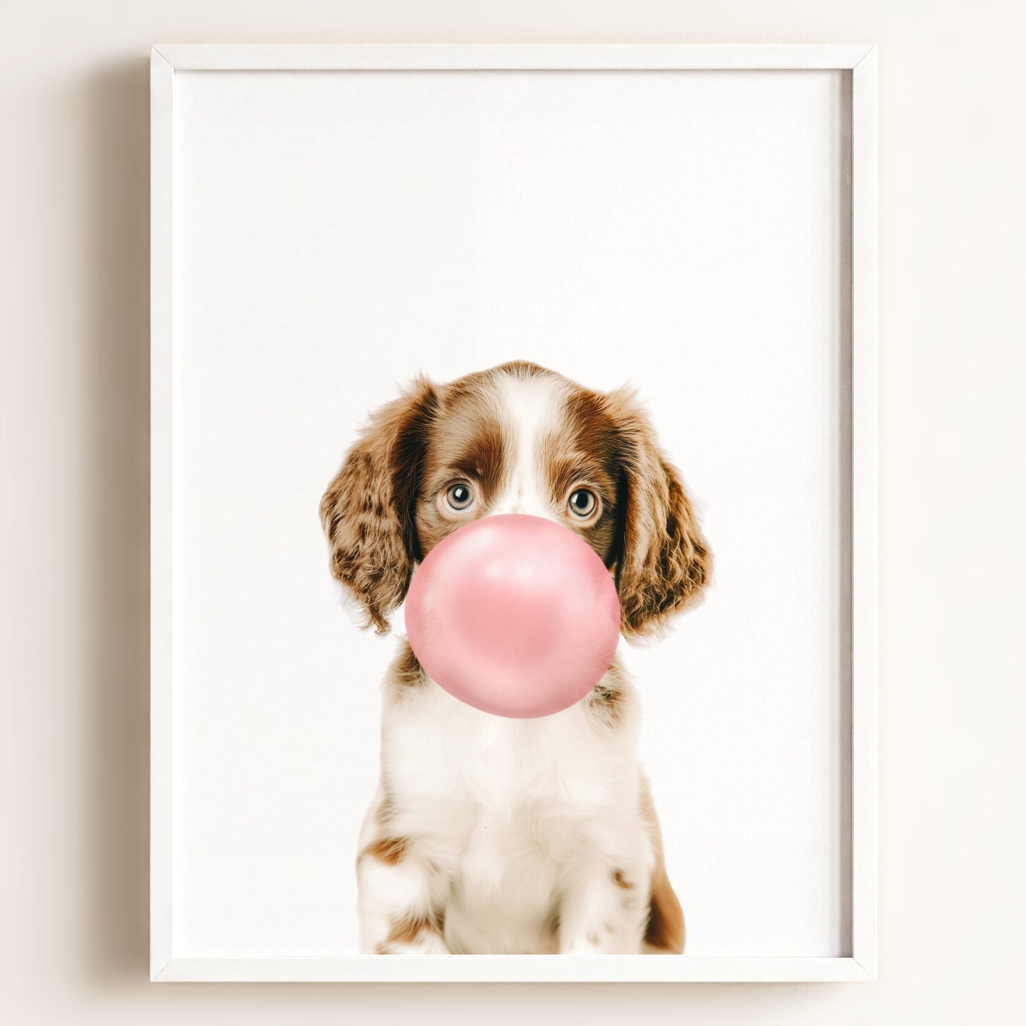 Baby Puppy Springer Spaniel Portrait