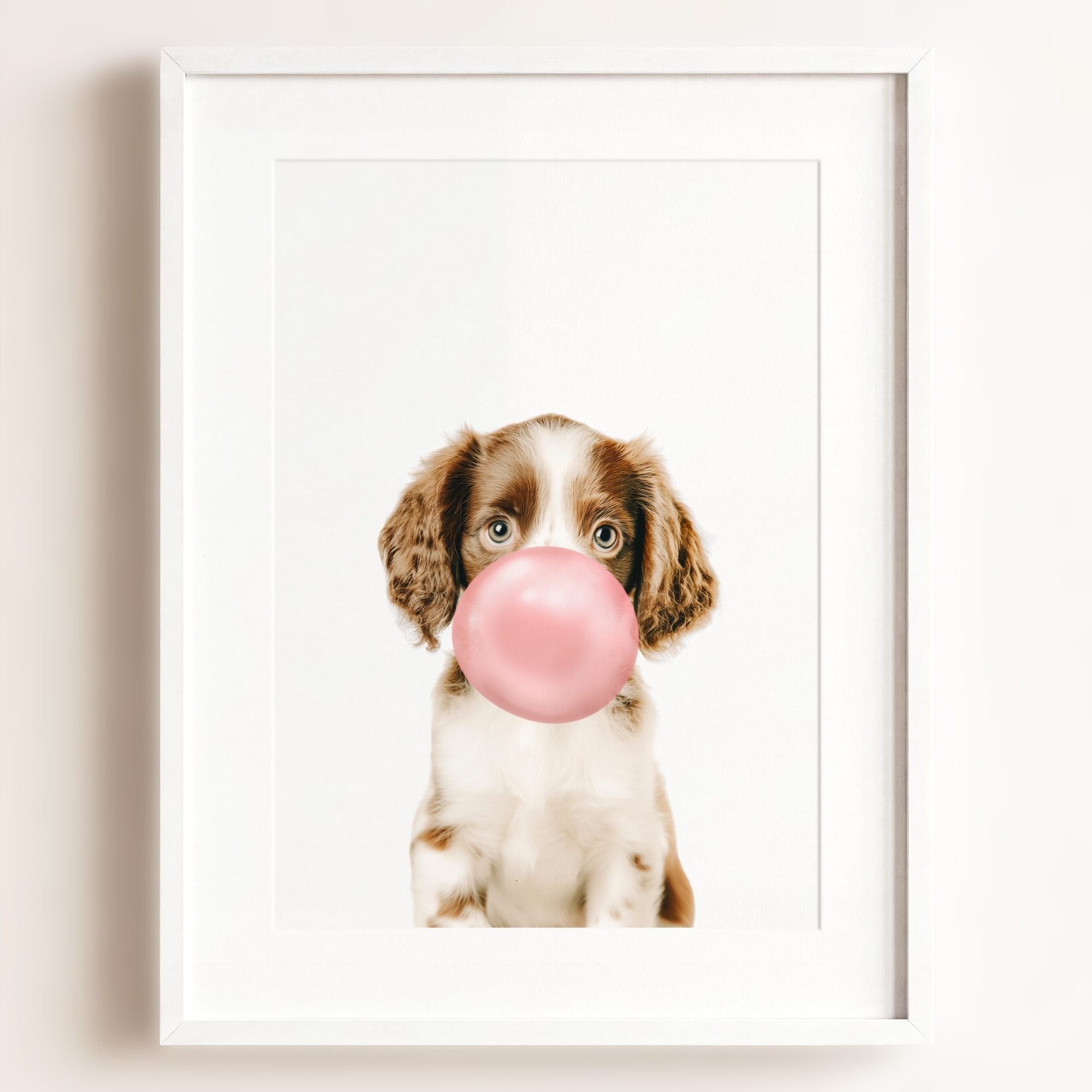 Baby Puppy Springer Spaniel Portrait