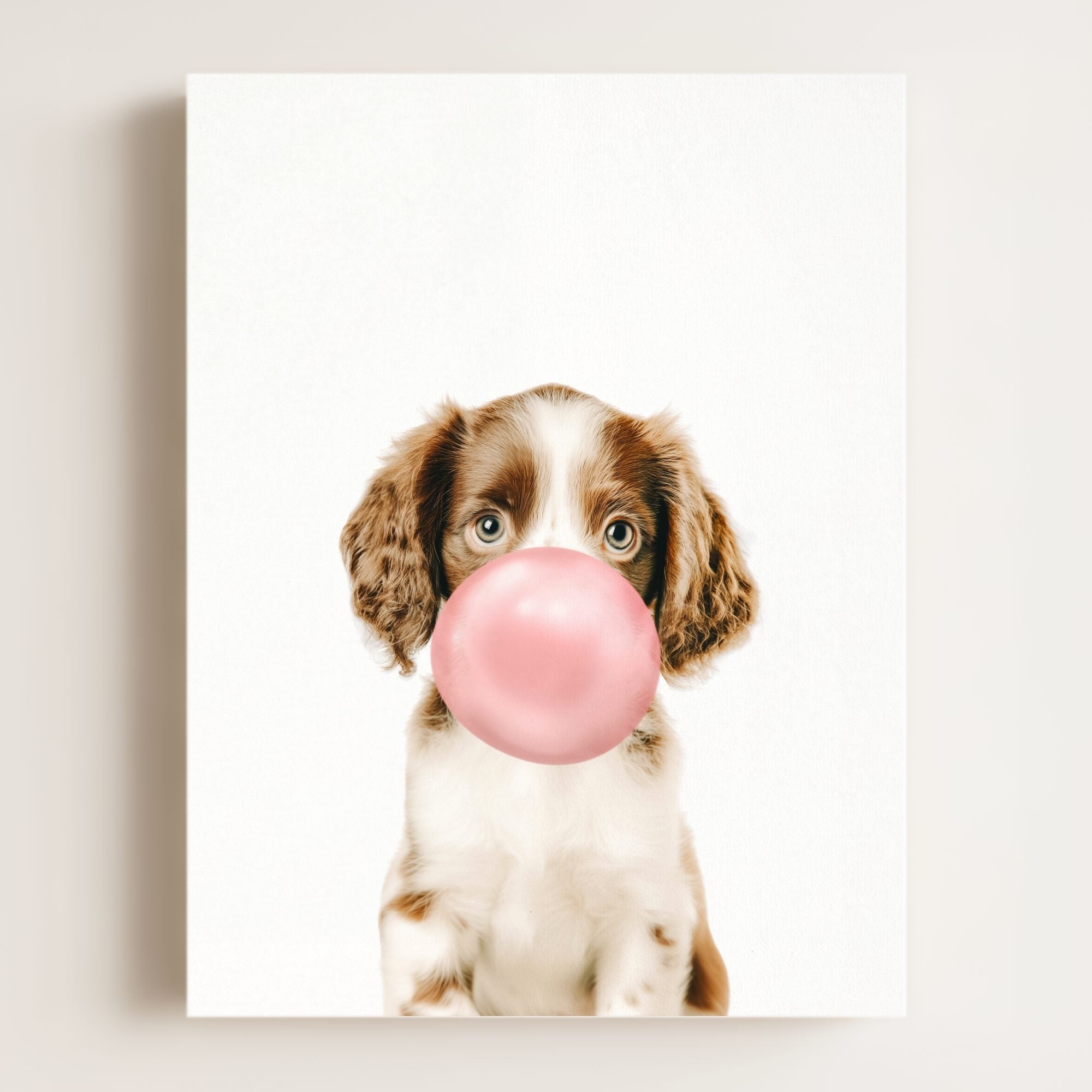 Baby Puppy Springer Spaniel Portrait