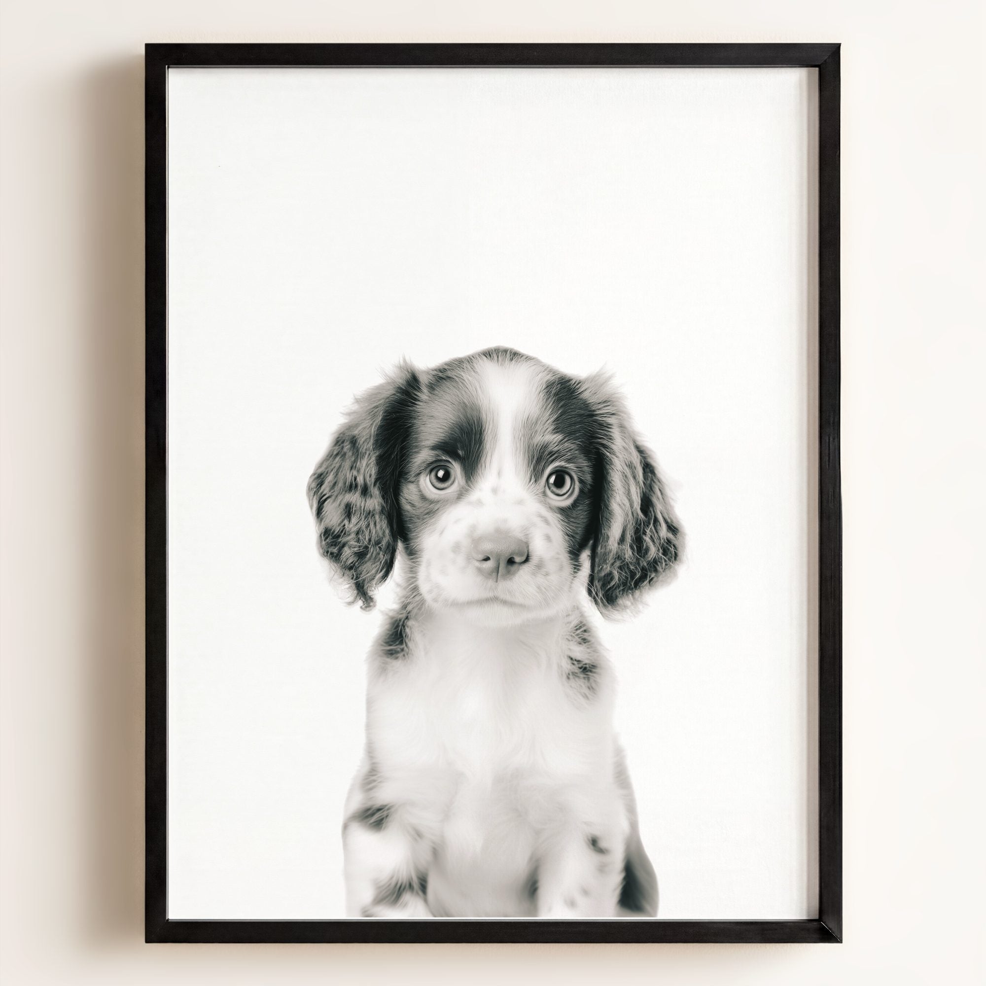 Baby Puppy Springer Spaniel Portrait