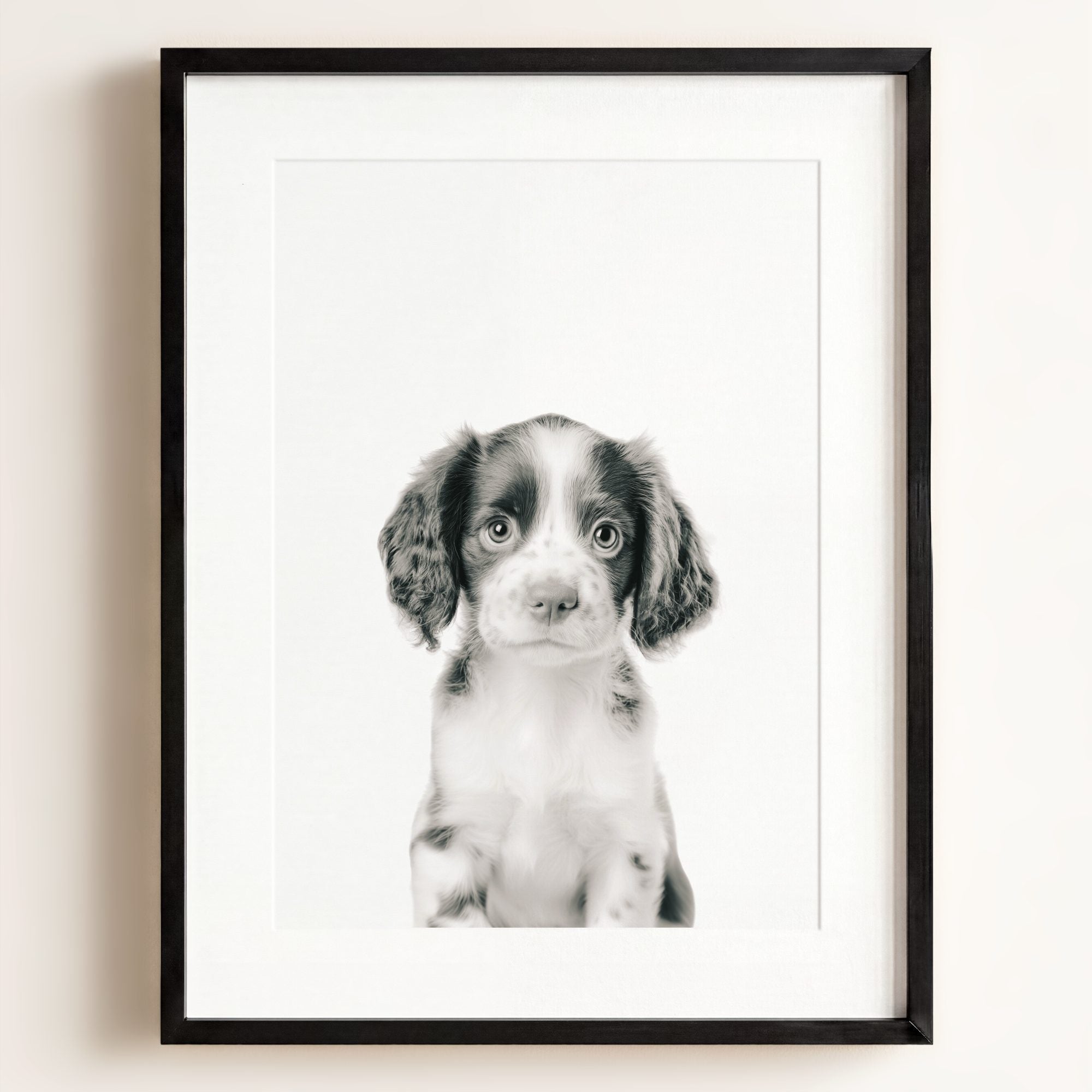 Baby Puppy Springer Spaniel Portrait