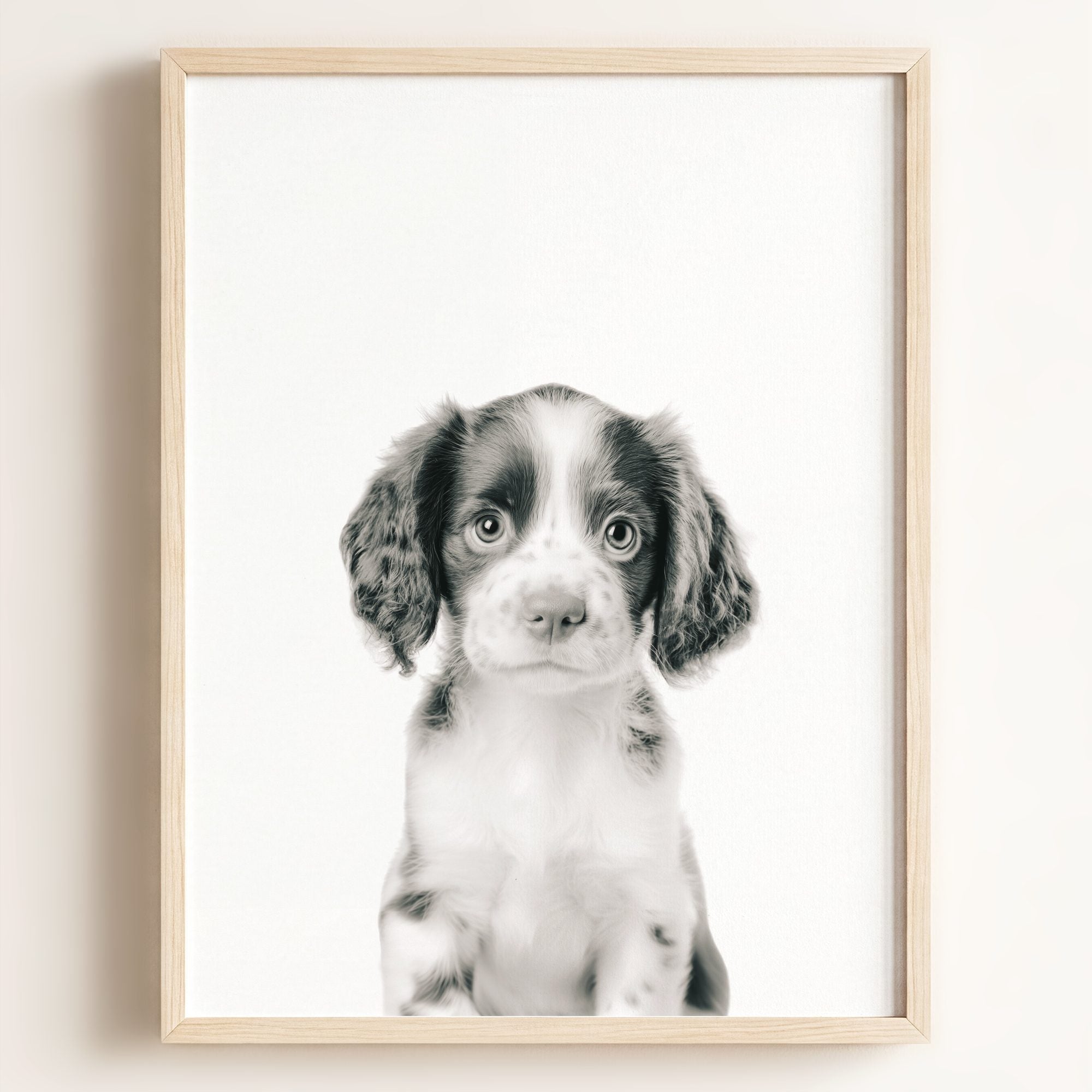 Baby Puppy Springer Spaniel Portrait