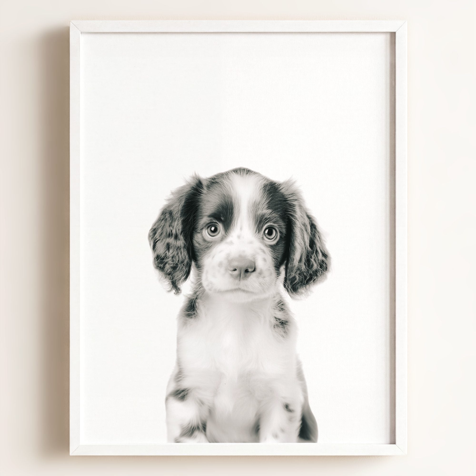 Baby Puppy Springer Spaniel Portrait