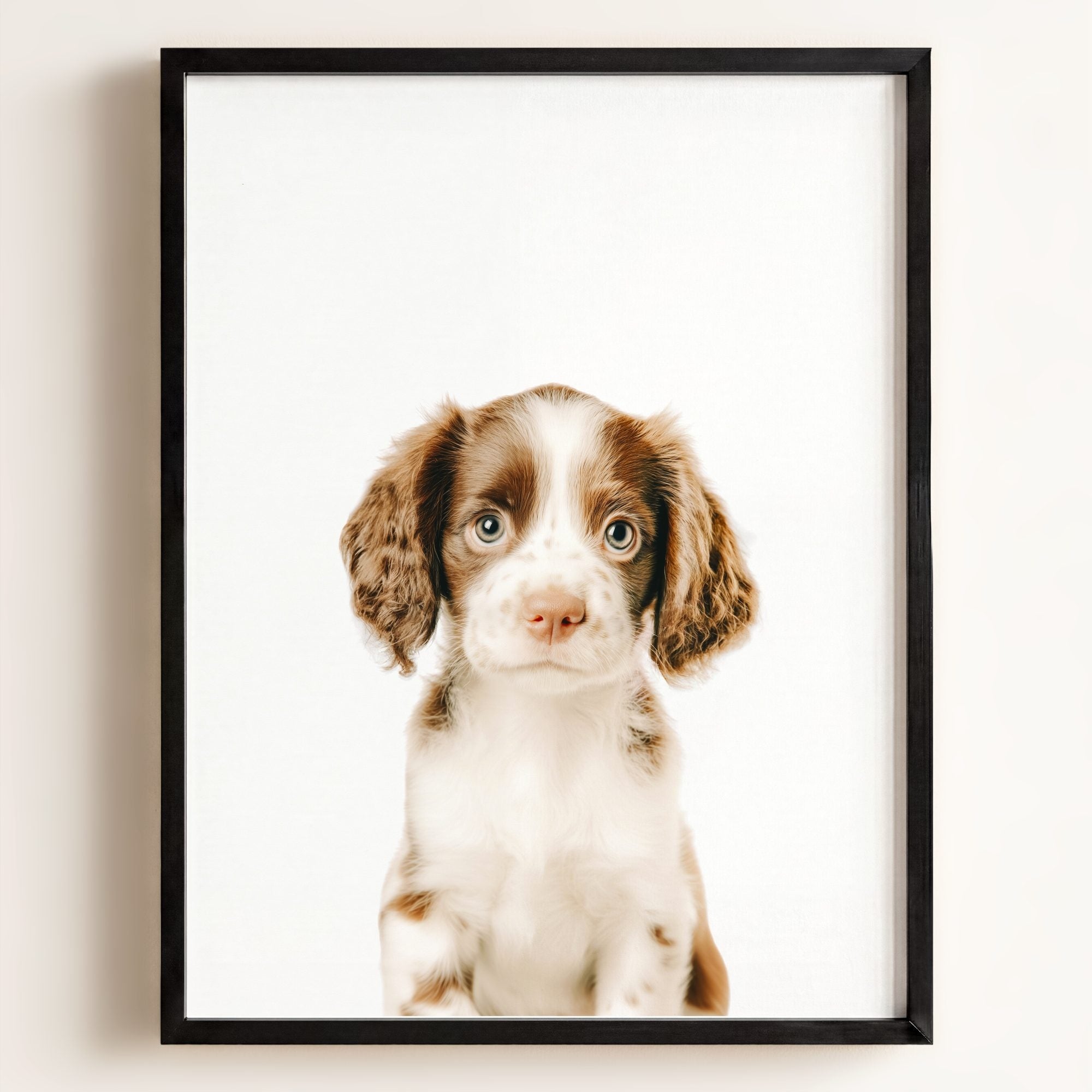 Baby Puppy Springer Spaniel Portrait