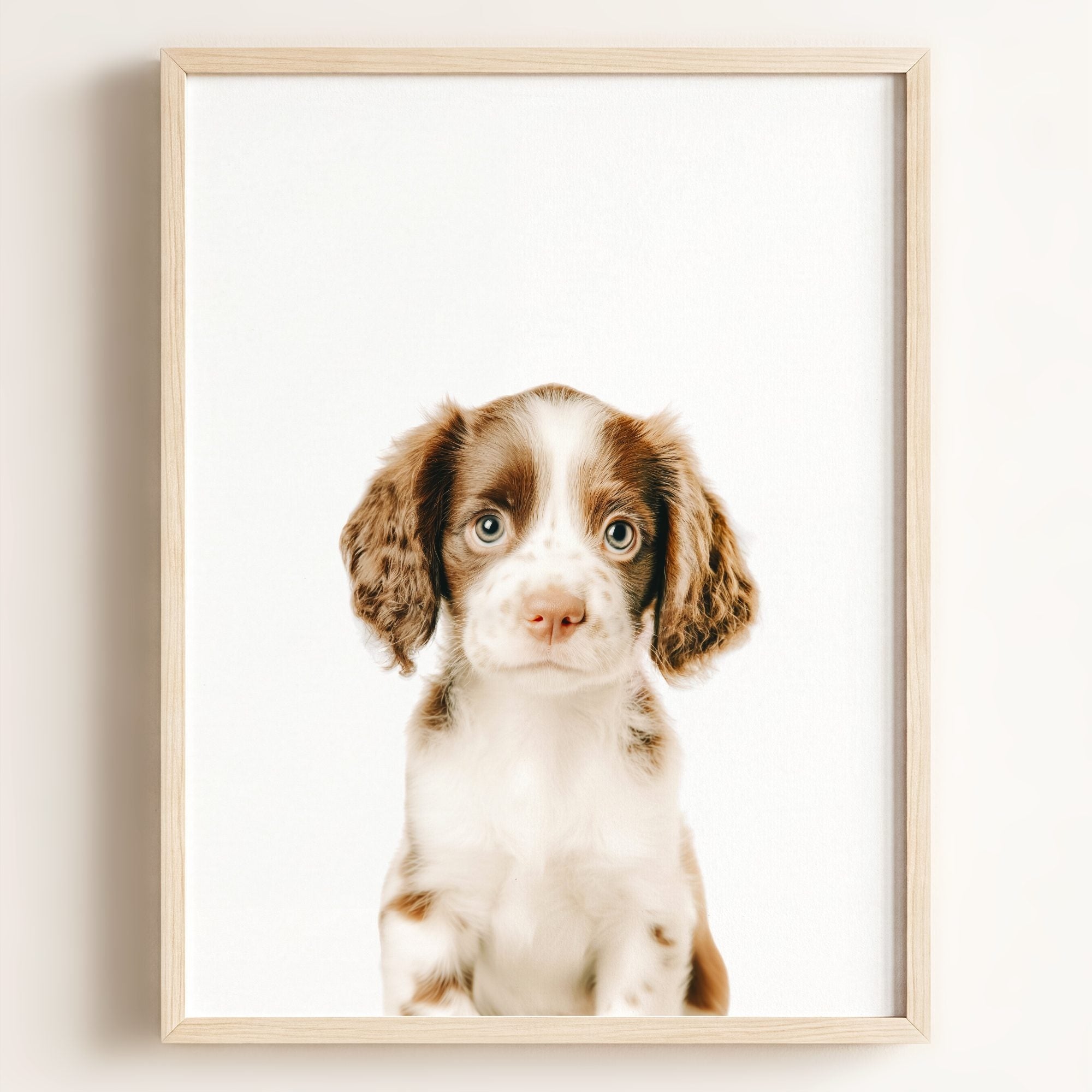 Baby Puppy Springer Spaniel Portrait
