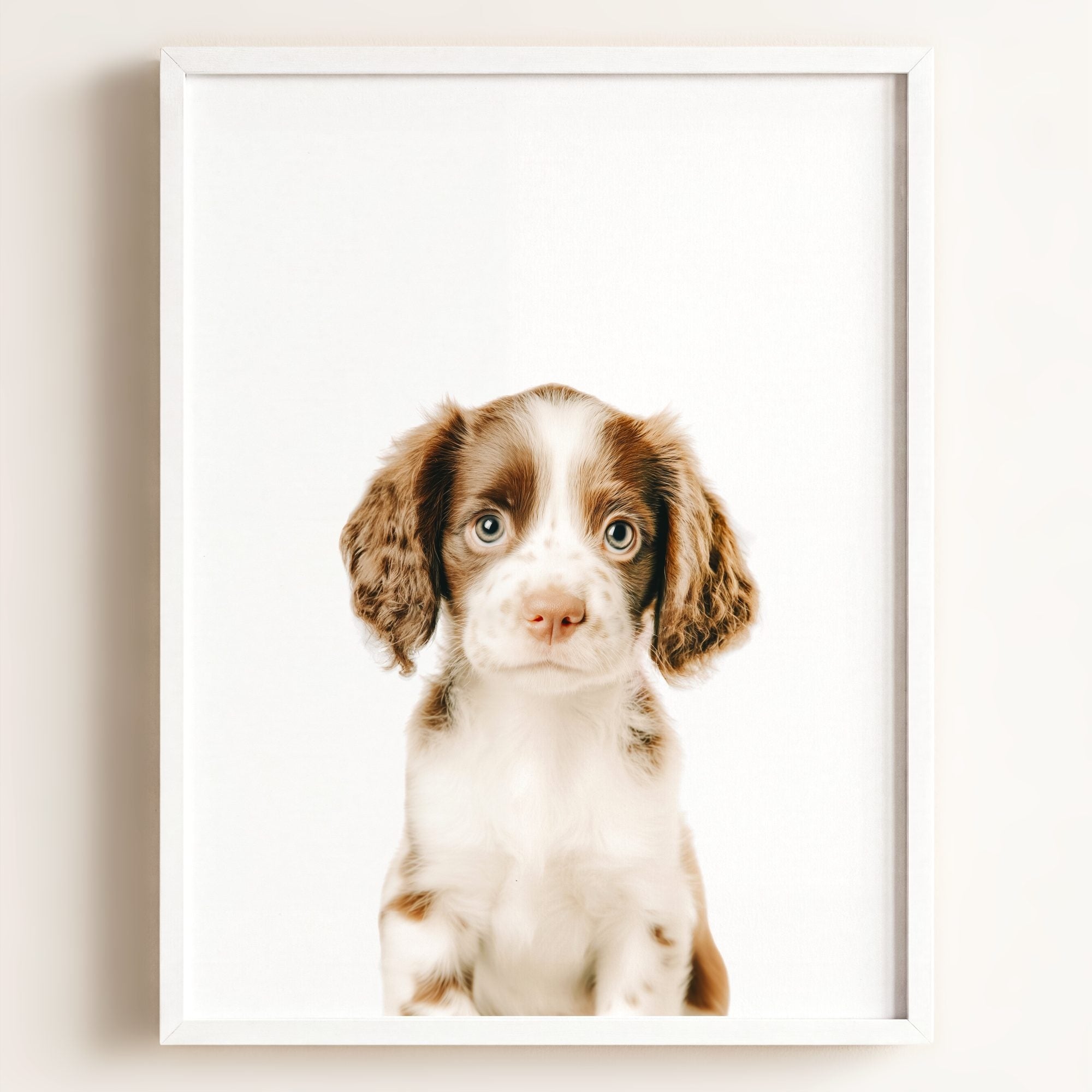 Baby Puppy Springer Spaniel Portrait