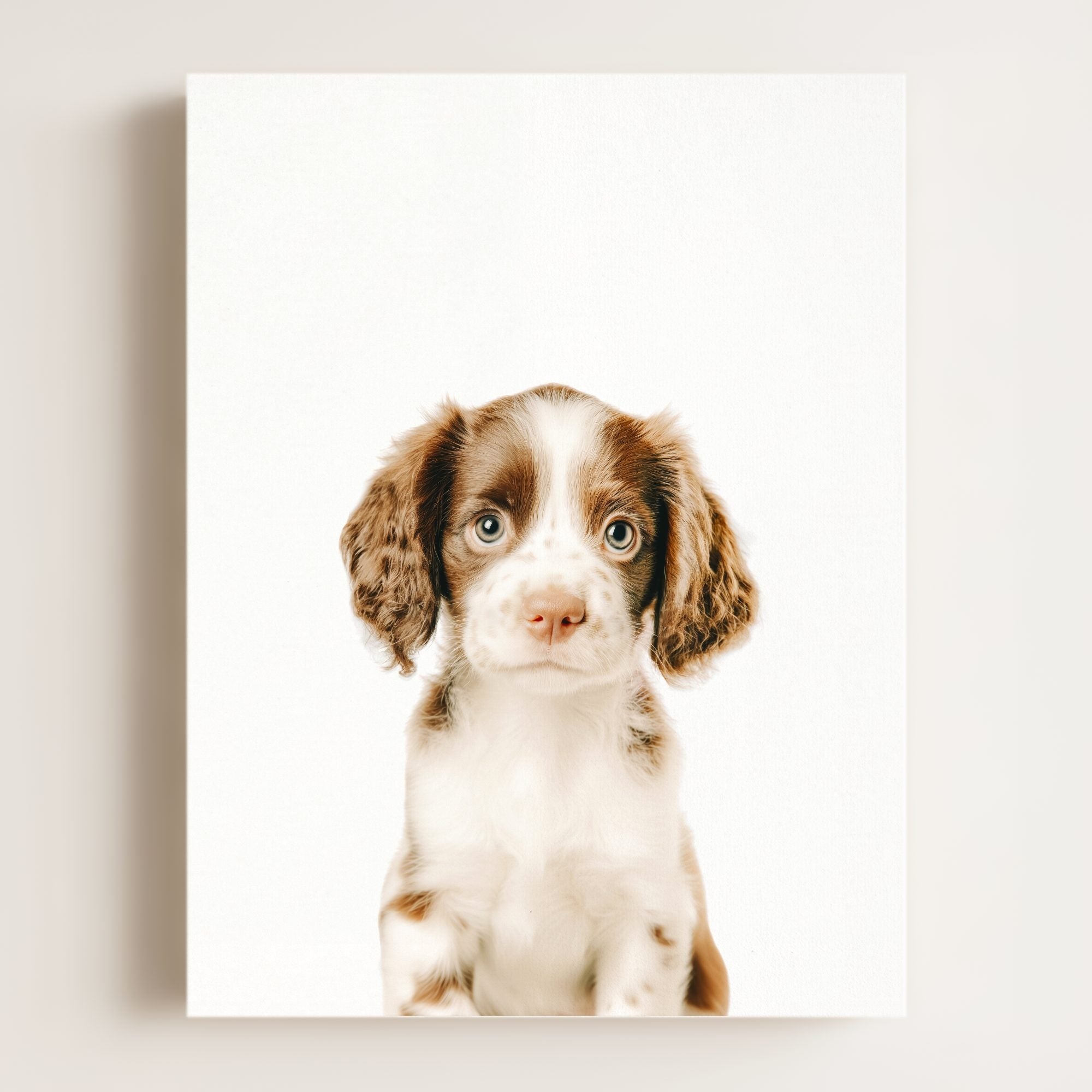 Baby Puppy Springer Spaniel Portrait