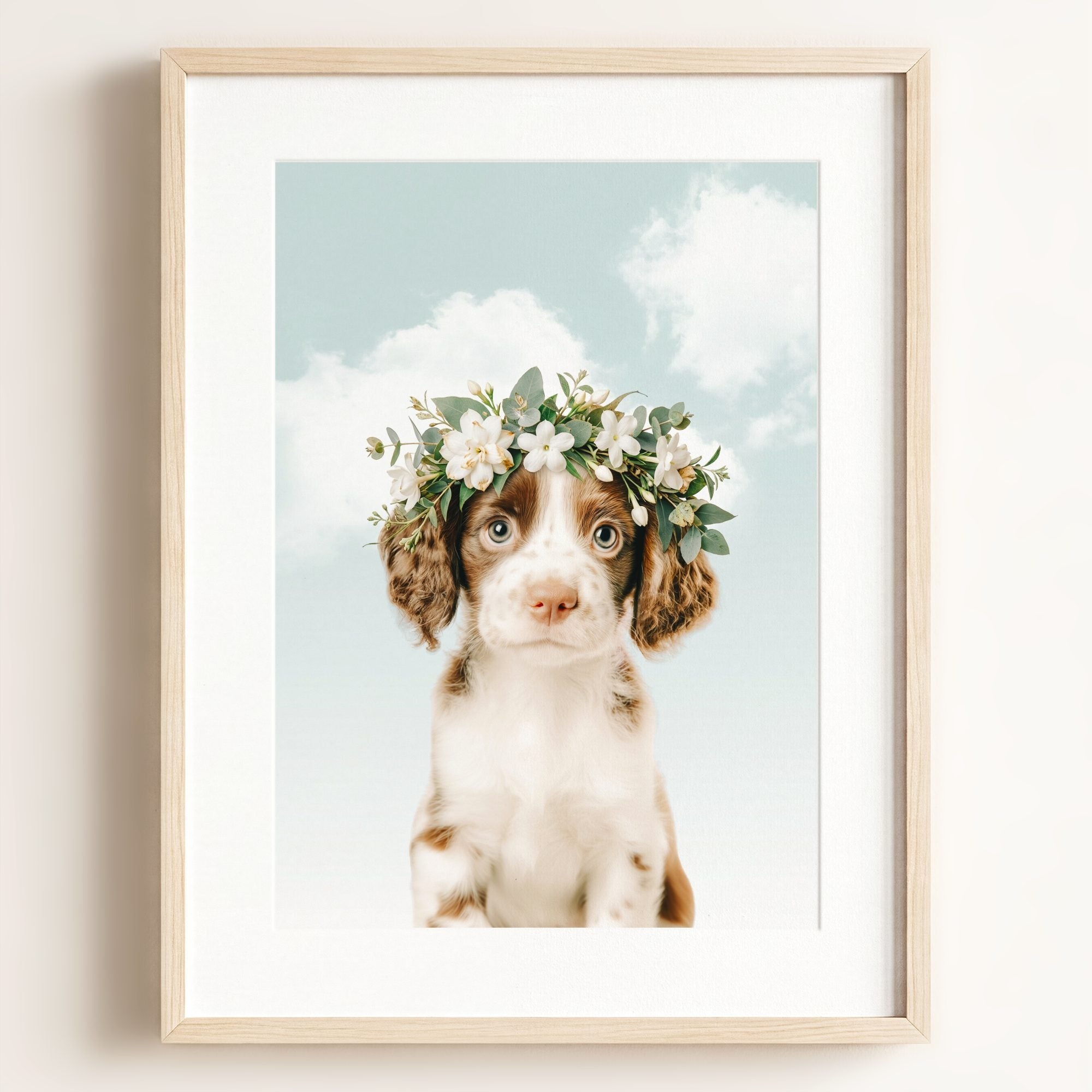 Baby Puppy Springer Spaniel Portrait