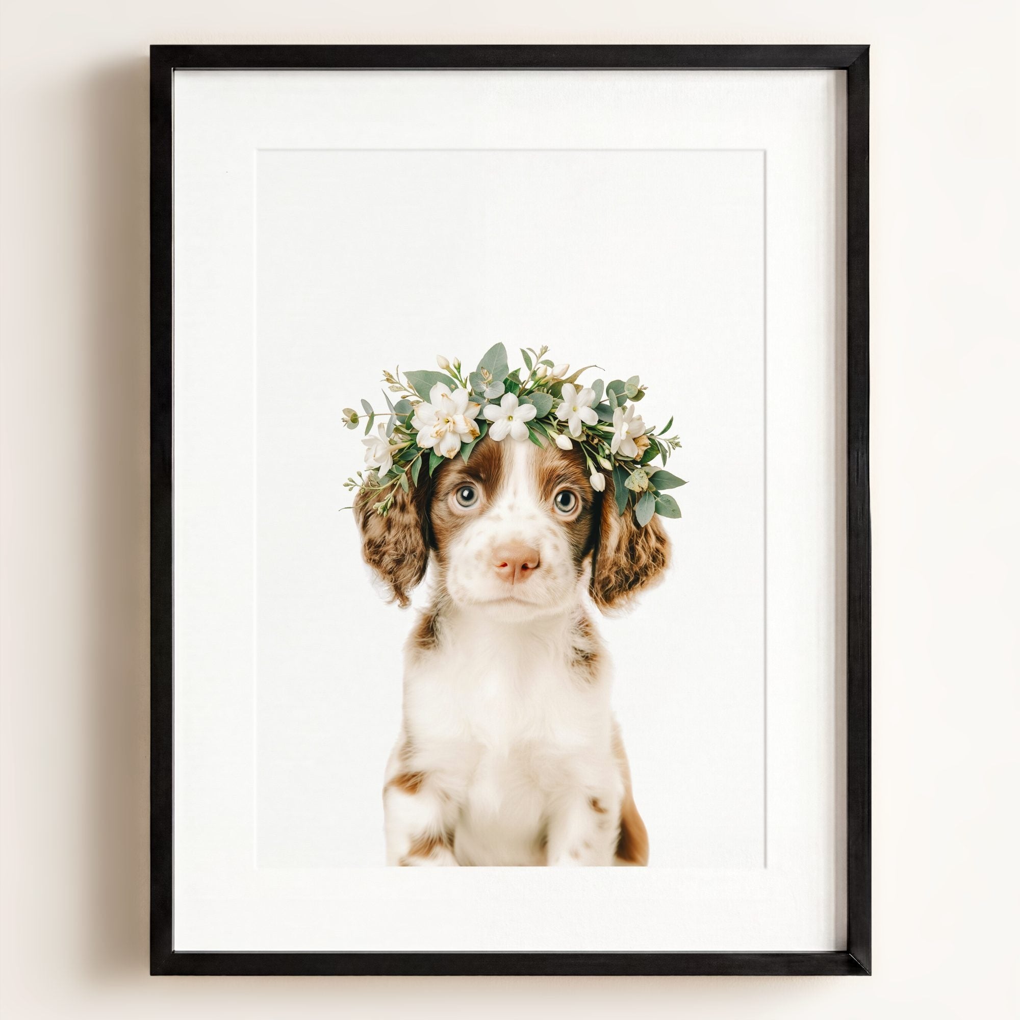 Baby Puppy Springer Spaniel Portrait