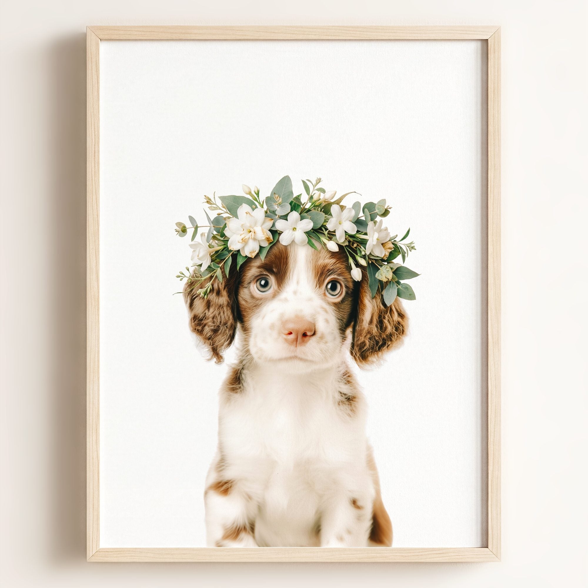 Baby Puppy Springer Spaniel Portrait