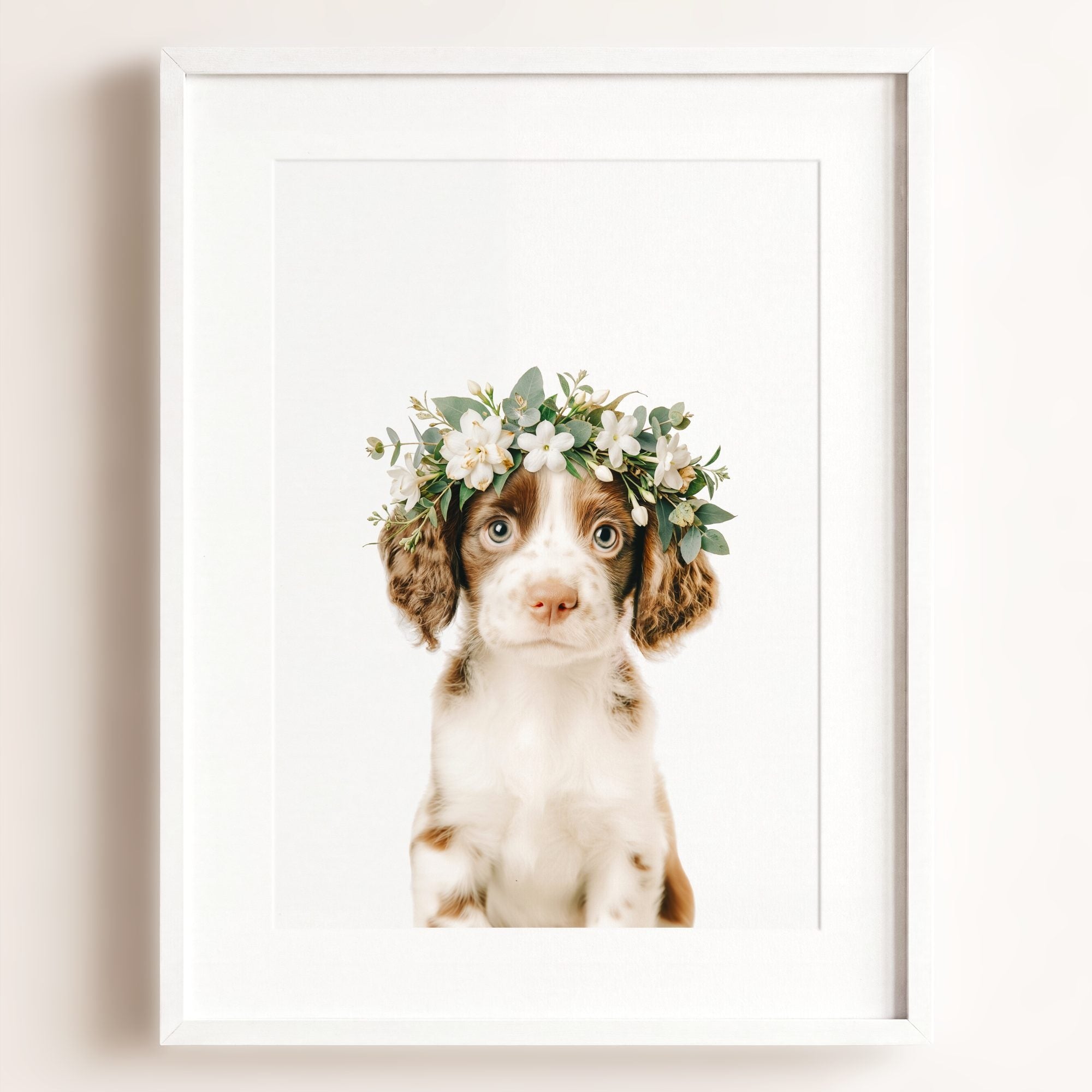 Baby Puppy Springer Spaniel Portrait